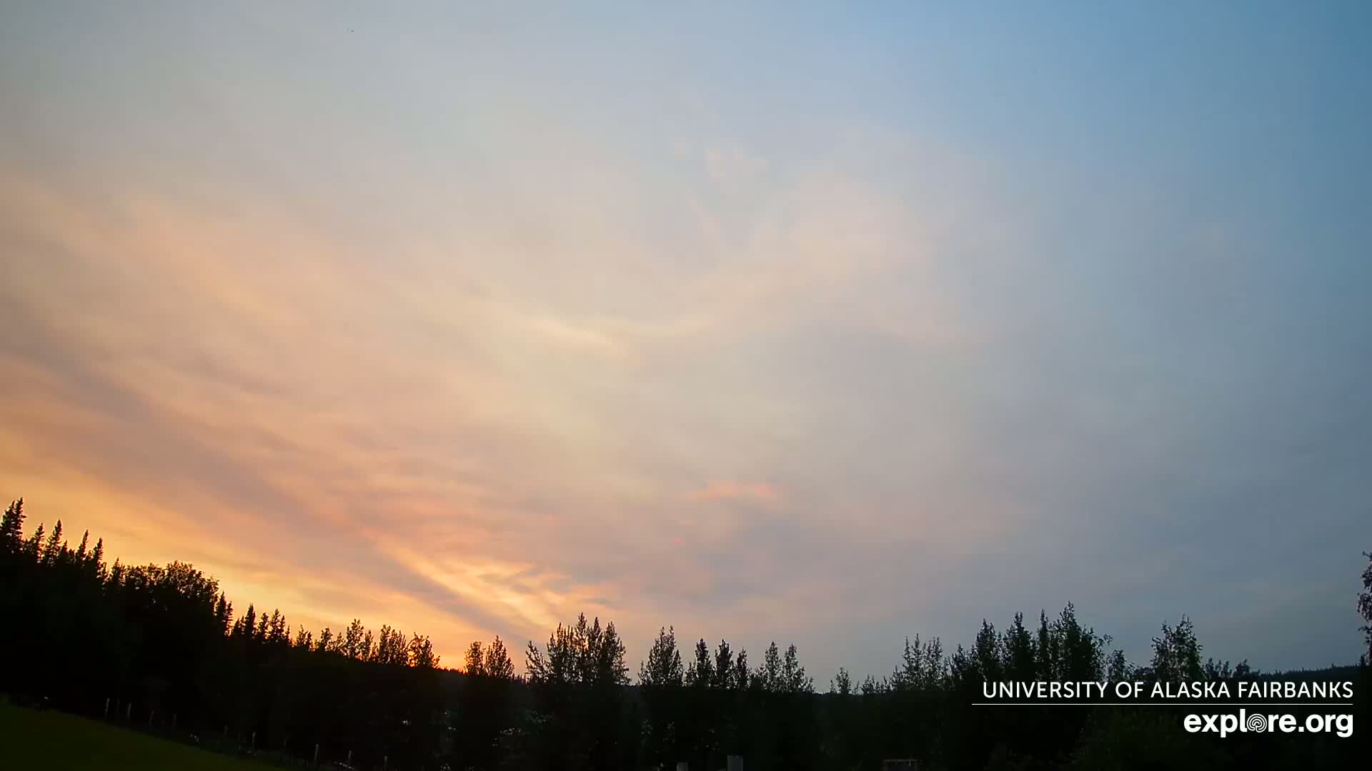 A sunset with soft orange and pink hues in the sky above a dark silhouetted line of trees.