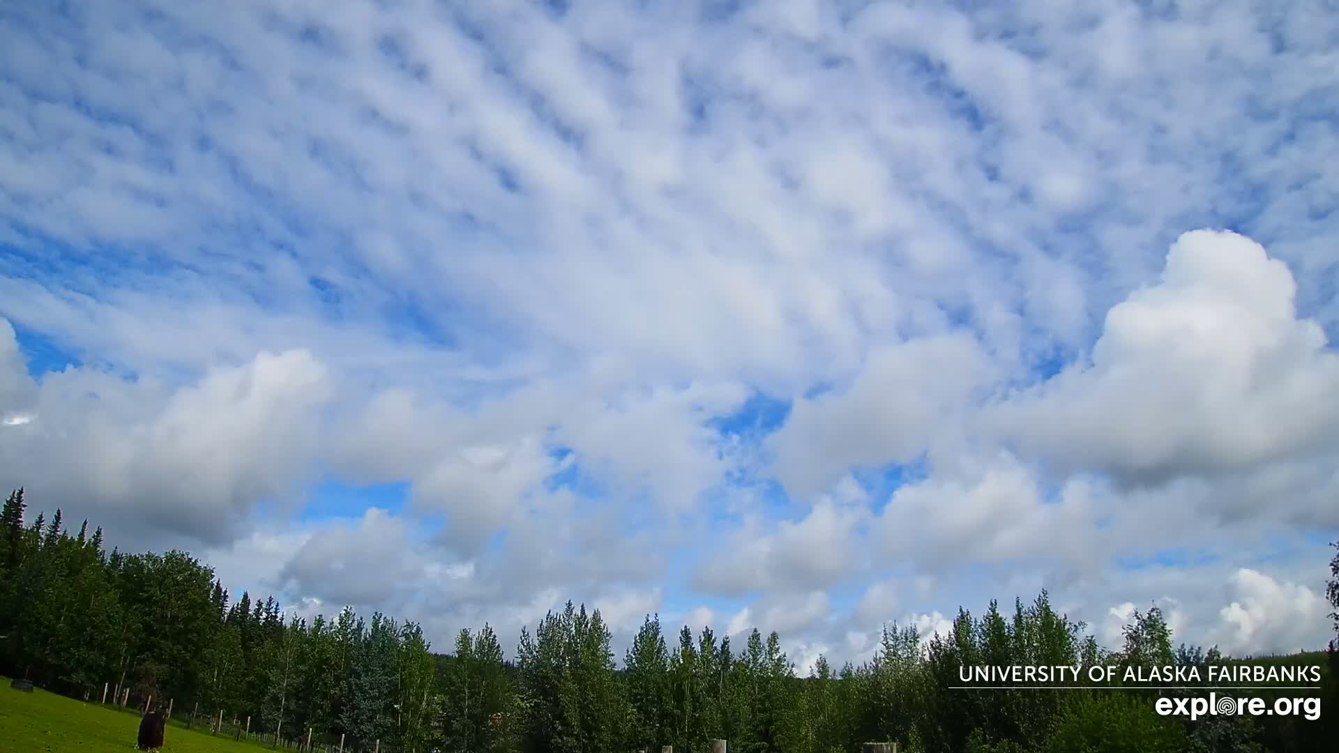 University of Alaska, Fairbanks North Star Northern Lights / Aurora Borealis / Stars View Live Cam - Faibanks, Fairbanks North Star, Alaska, USA
