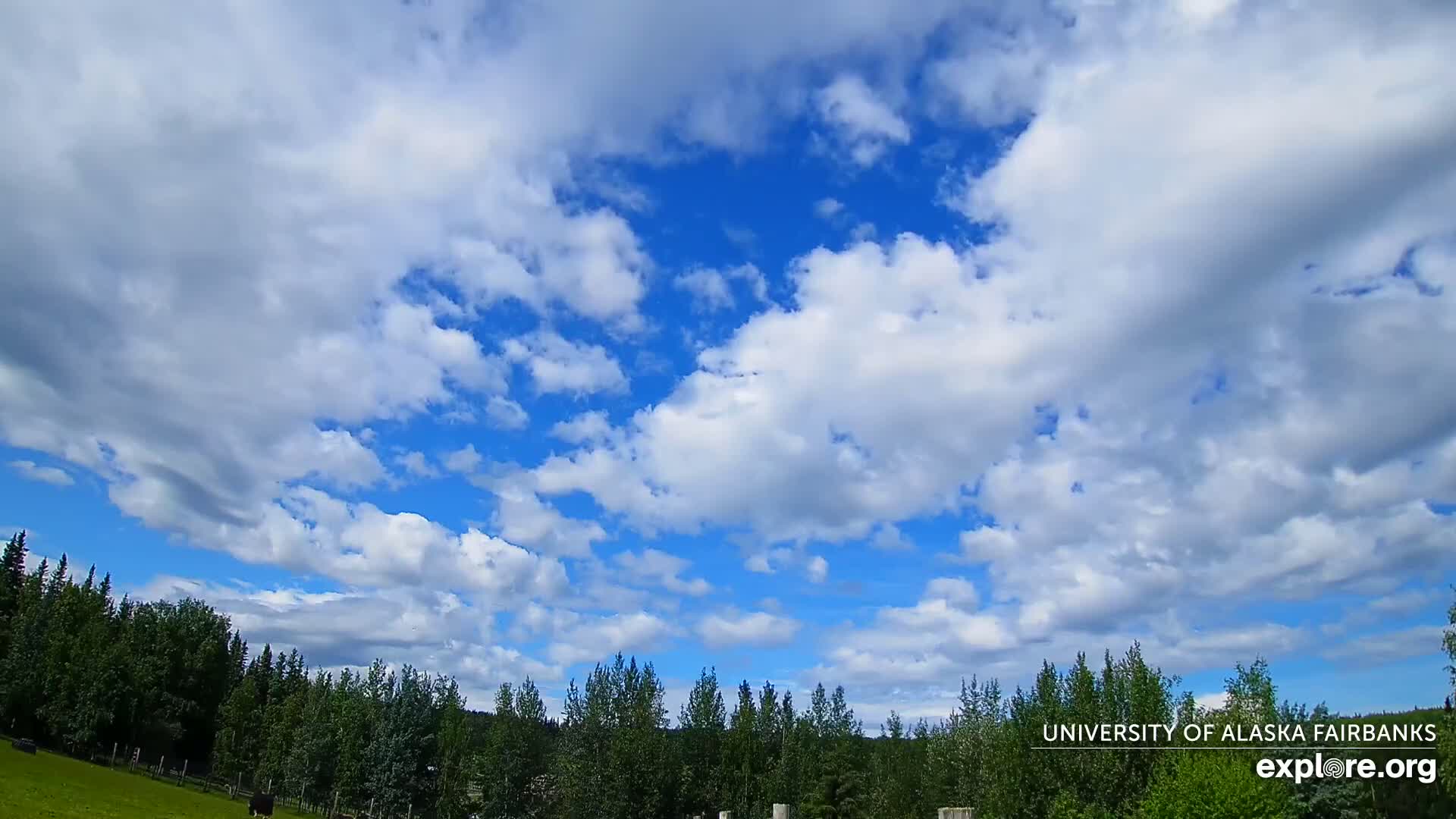 University of Alaska, Fairbanks North Star Northern Lights / Aurora Borealis / Stars View Live Cam - Faibanks, Fairbanks North Star, Alaska, USA