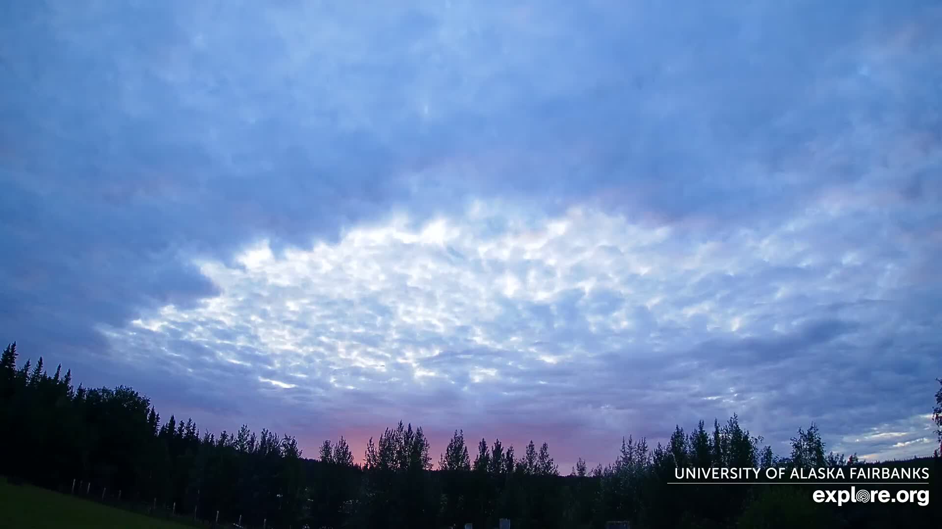 University of Alaska, Fairbanks North Star Northern Lights / Aurora Borealis / Stars View Live Cam - Faibanks, Fairbanks North Star, Alaska, USA