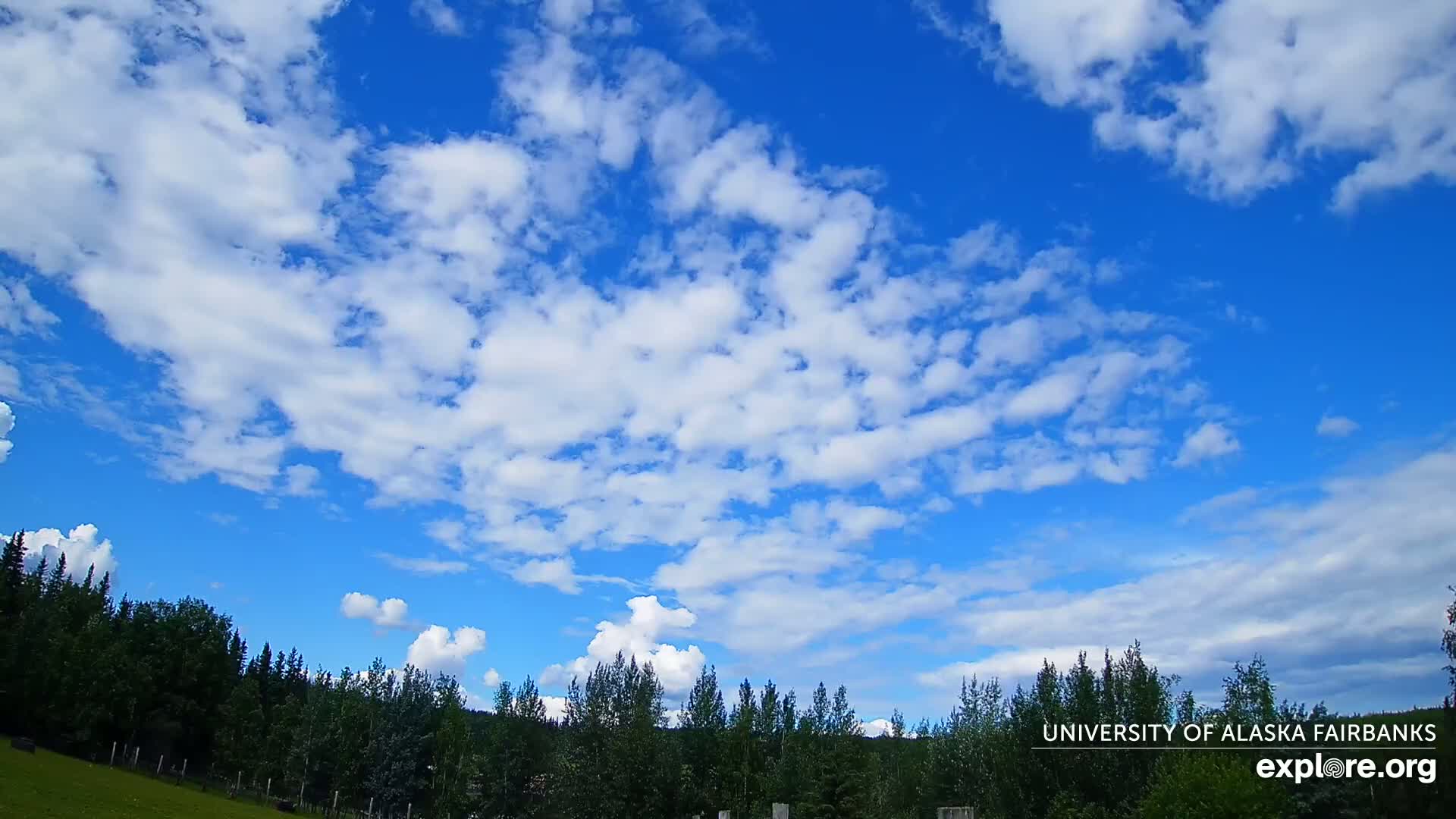 University of Alaska, Fairbanks North Star Northern Lights / Aurora Borealis / Stars View Live Cam - Faibanks, Fairbanks North Star, Alaska, USA