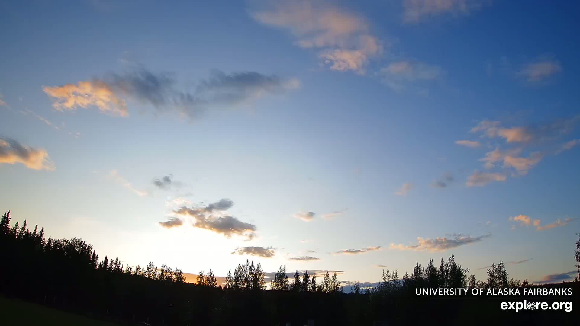 A partly cloudy sunset illuminates a line of dark silhouetted trees.