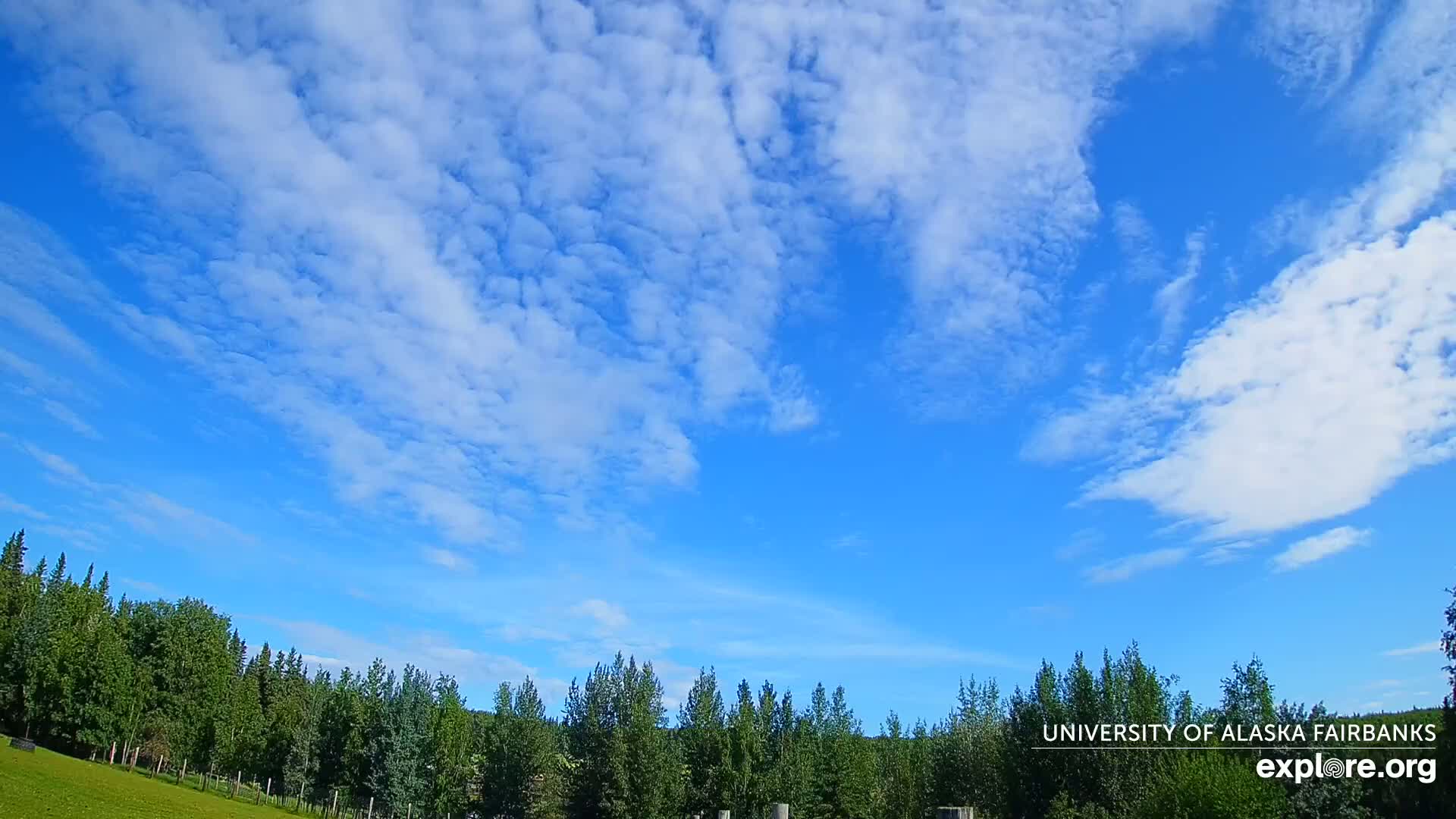 University of Alaska, Fairbanks North Star Northern Lights / Aurora Borealis / Stars View Live Cam - Faibanks, Fairbanks North Star, Alaska, USA