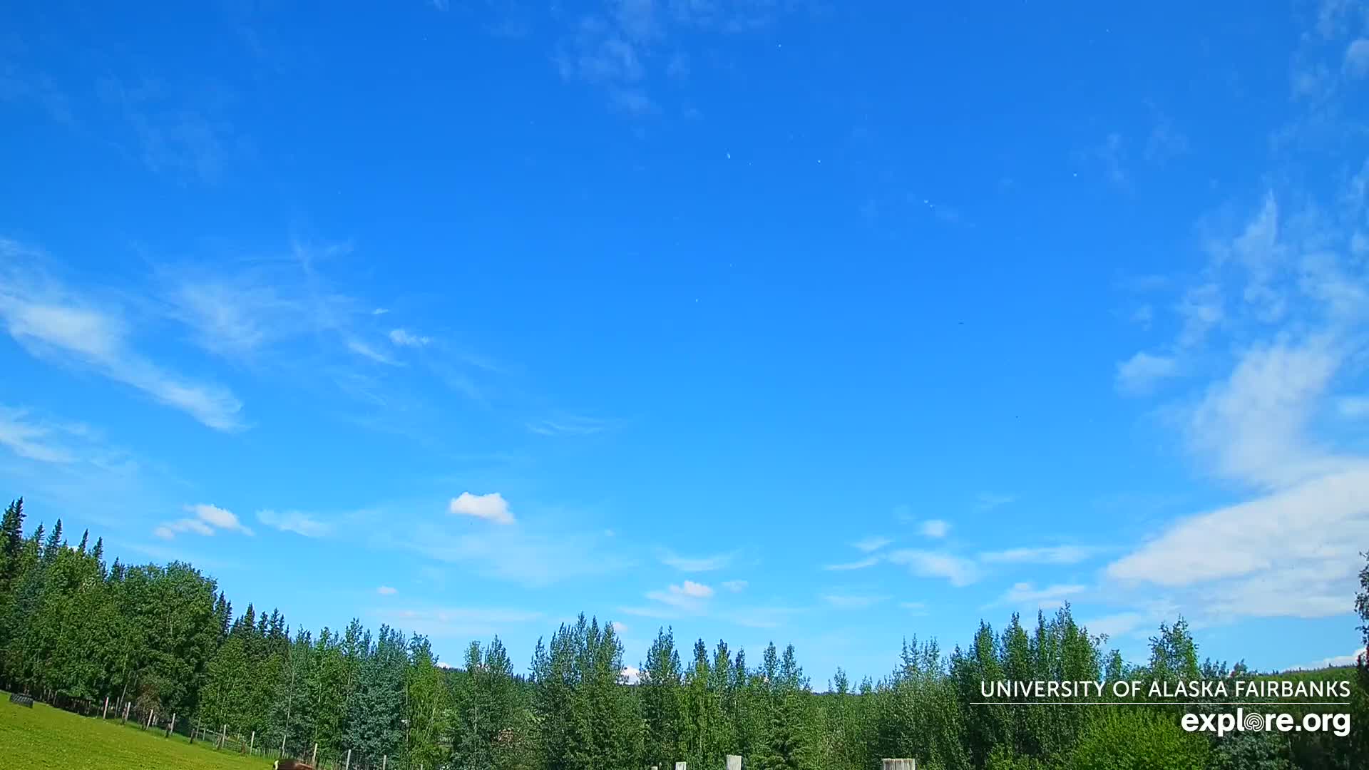 University of Alaska, Fairbanks North Star Northern Lights / Aurora Borealis / Stars View Live Cam - Faibanks, Fairbanks North Star, Alaska, USA