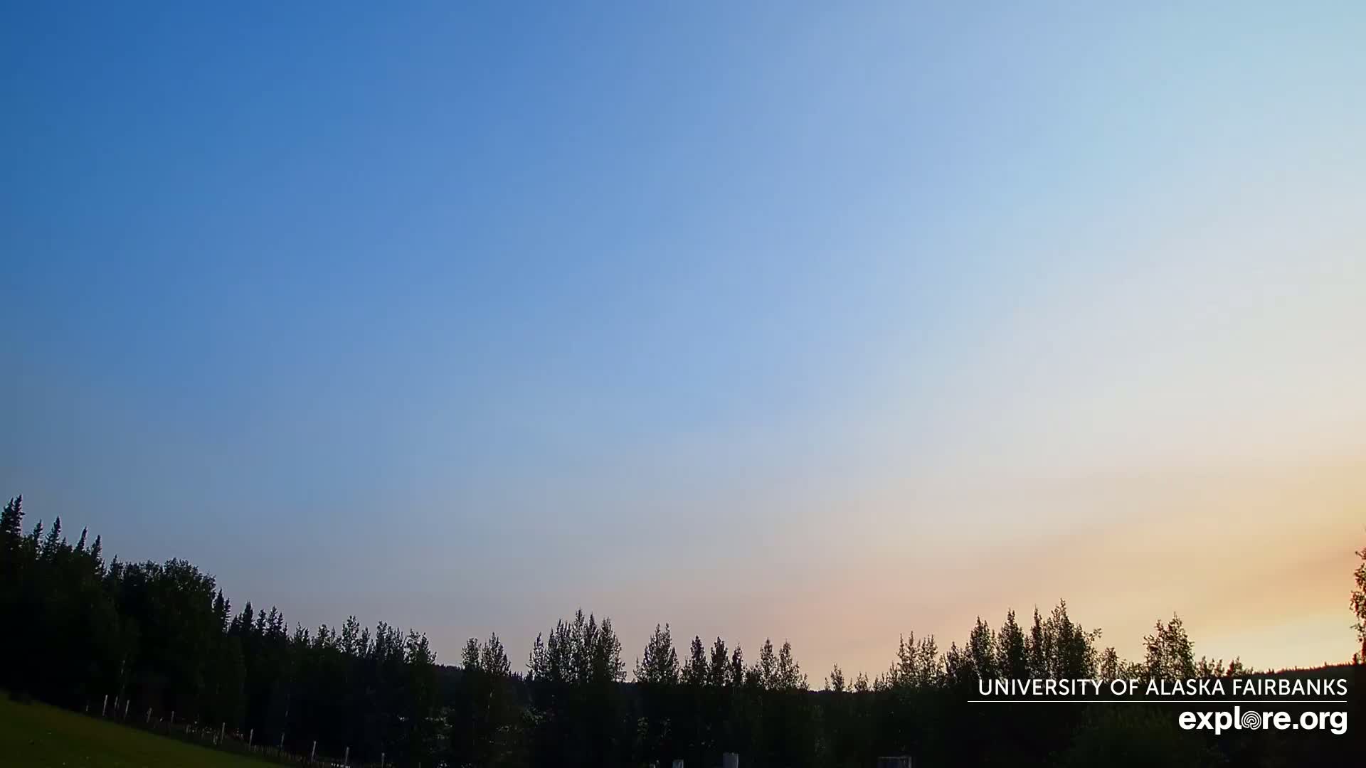 A line of silhouetted trees sits before a clear, twilight sky transitioning from blue to pale orange near the horizon.