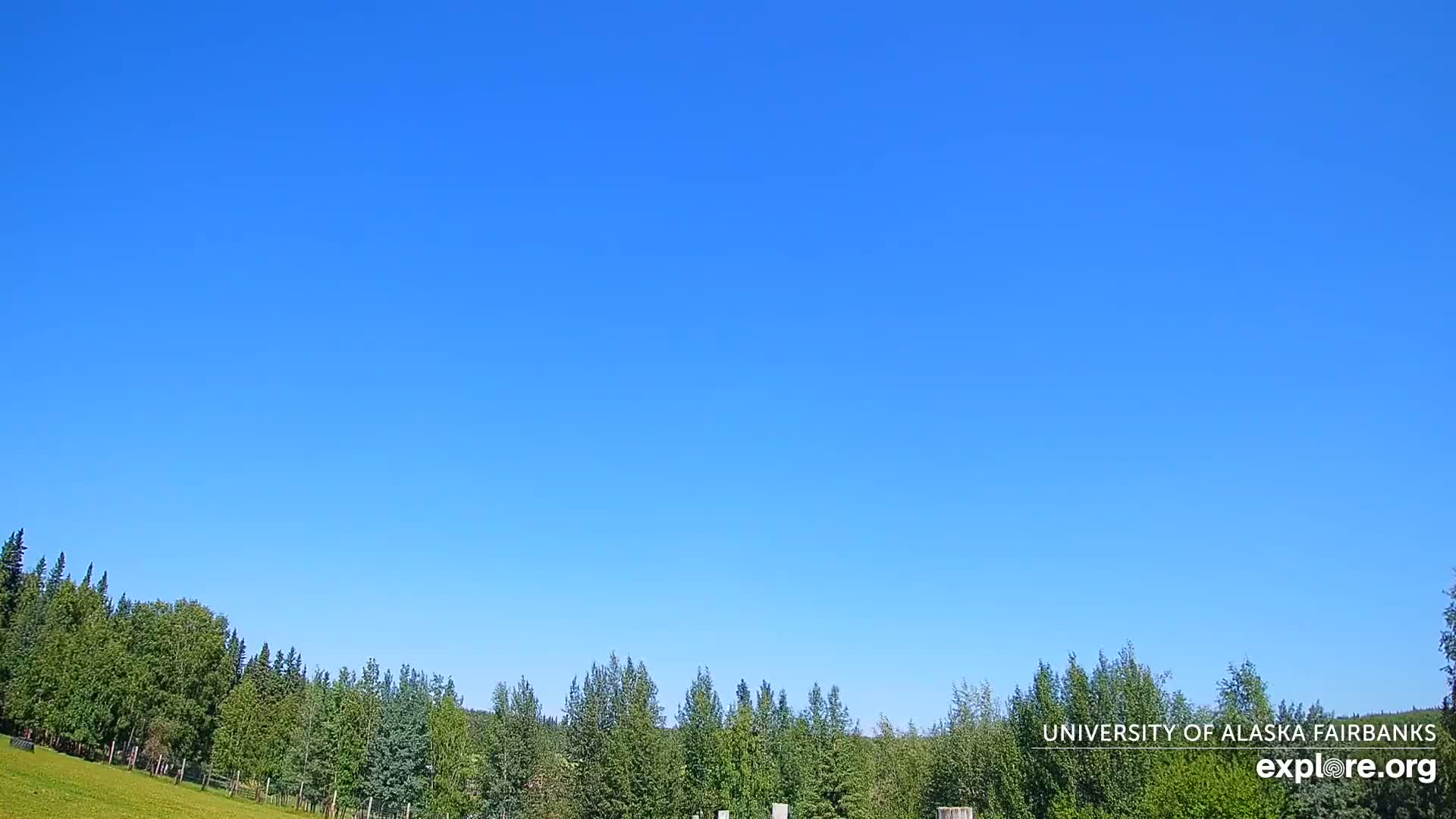 University of Alaska, Fairbanks North Star Northern Lights / Aurora Borealis / Stars View Live Cam - Faibanks, Fairbanks North Star, Alaska, USA