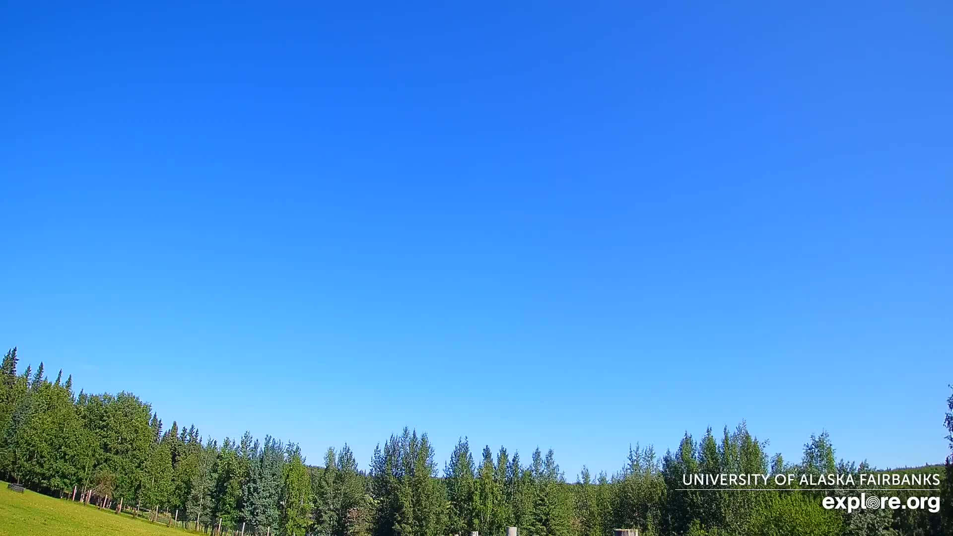 University of Alaska, Fairbanks North Star Northern Lights / Aurora Borealis / Stars View Live Cam - Faibanks, Fairbanks North Star, Alaska, USA