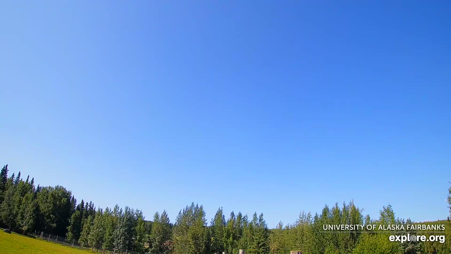 University of Alaska, Fairbanks North Star Northern Lights / Aurora Borealis / Stars View Live Cam - Faibanks, Fairbanks North Star, Alaska, USA
