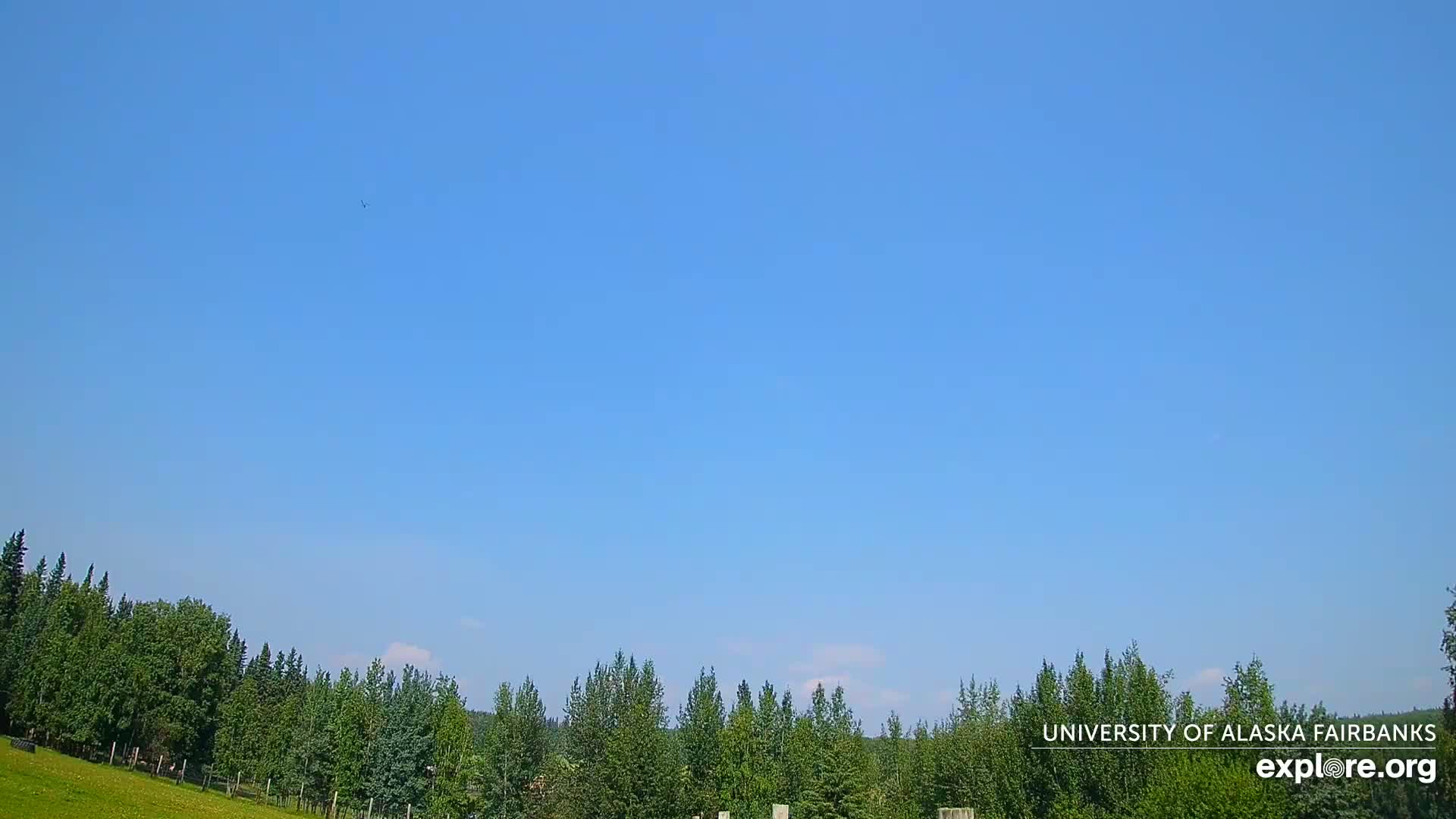 University of Alaska, Fairbanks North Star Northern Lights / Aurora Borealis / Stars View Live Cam - Faibanks, Fairbanks North Star, Alaska, USA