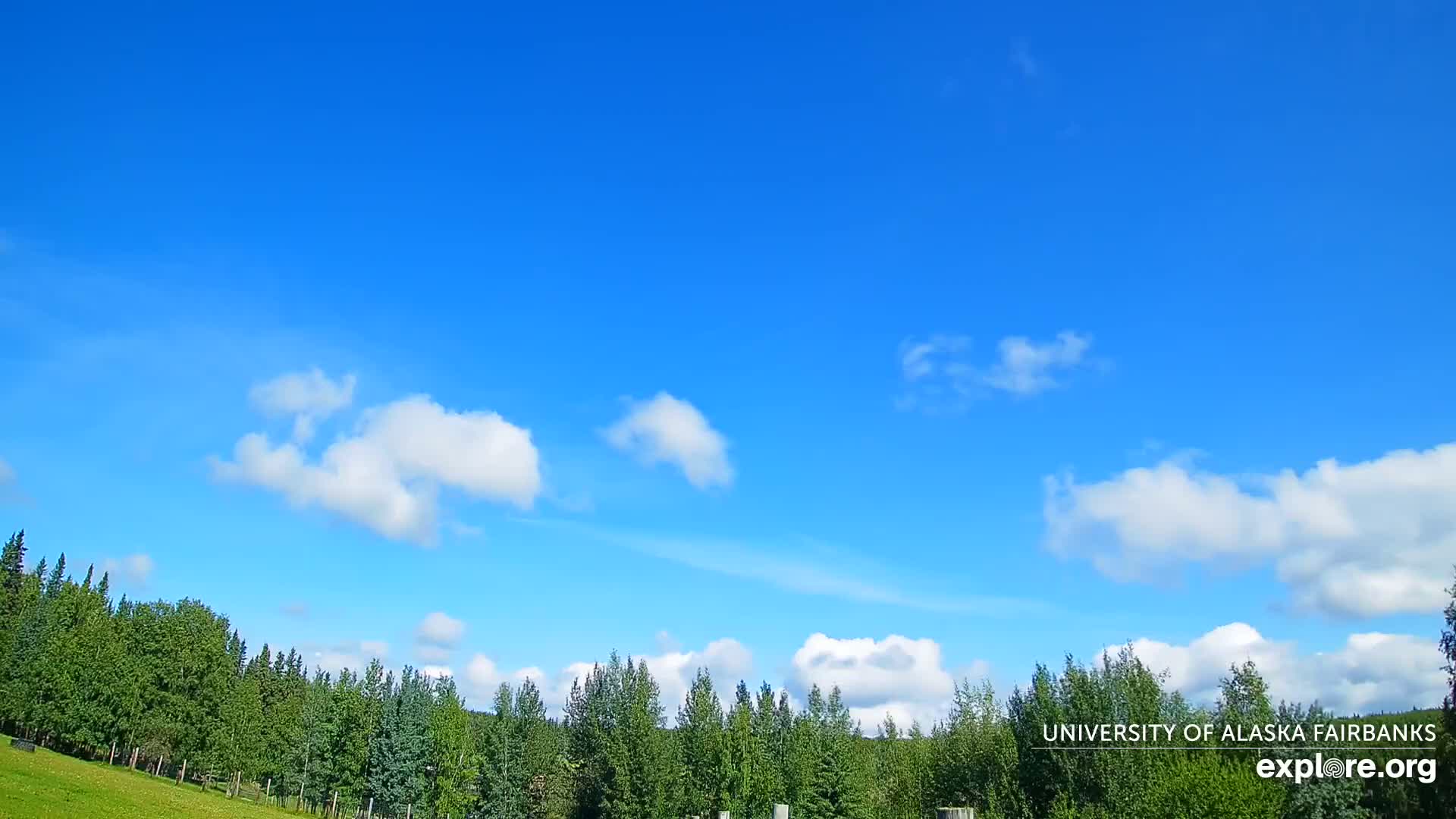 University of Alaska, Fairbanks North Star Northern Lights / Aurora Borealis / Stars View Live Cam - Faibanks, Fairbanks North Star, Alaska, USA