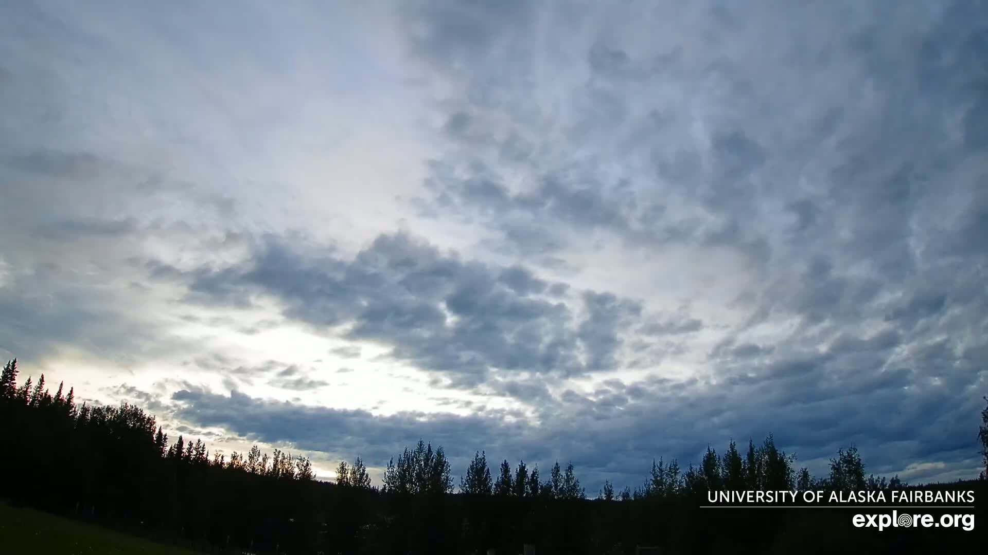 A mostly cloudy sky, with some brighter areas, hangs over a dark line of trees.