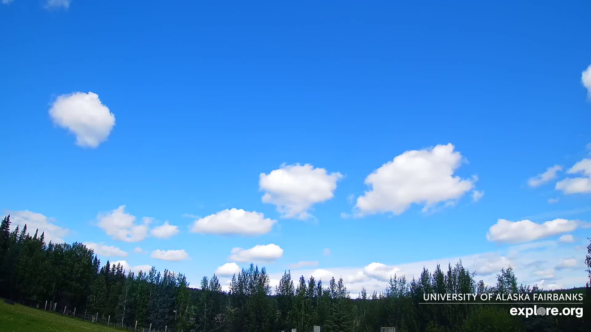 University of Alaska, Fairbanks North Star Northern Lights / Aurora Borealis / Stars View Live Cam - Faibanks, Fairbanks North Star, Alaska, USA