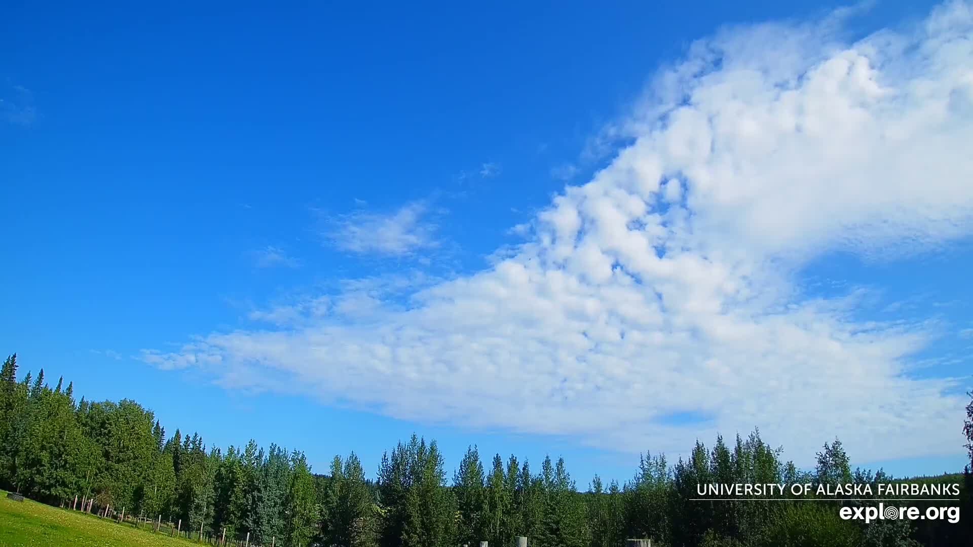 University of Alaska, Fairbanks North Star Northern Lights / Aurora Borealis / Stars View Live Cam - Faibanks, Fairbanks North Star, Alaska, USA