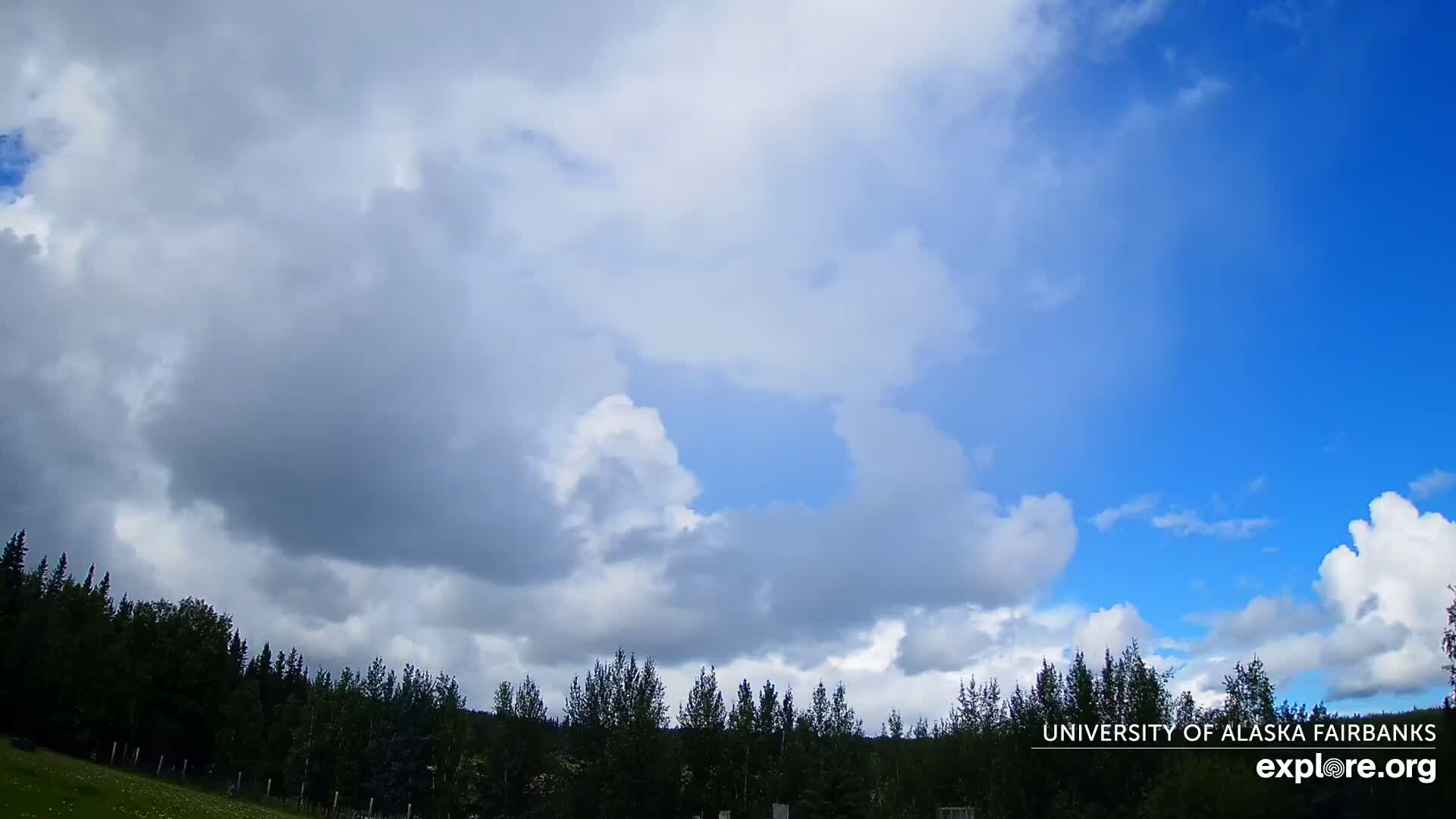 University of Alaska, Fairbanks North Star Northern Lights / Aurora Borealis / Stars View Live Cam - Faibanks, Fairbanks North Star, Alaska, USA