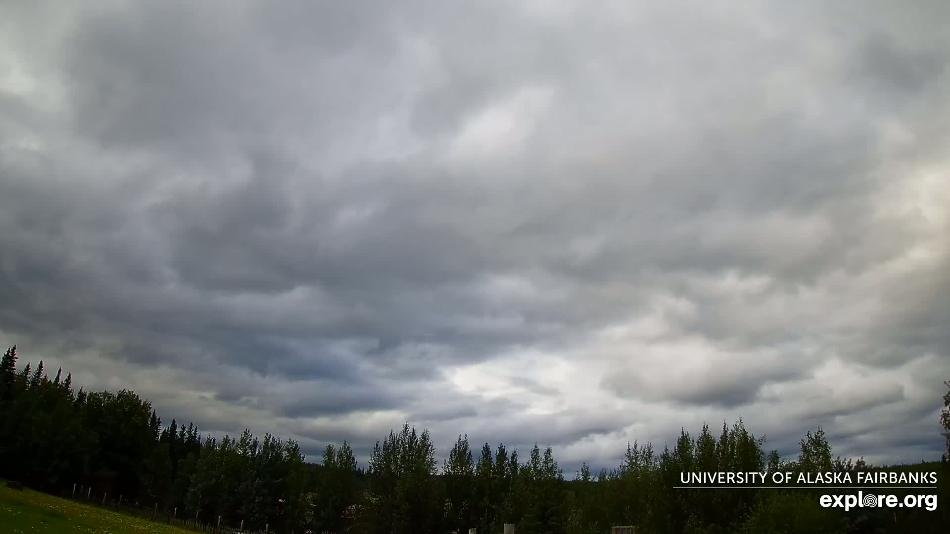 University of Alaska, Fairbanks North Star Northern Lights / Aurora Borealis / Stars View Live Cam - Faibanks, Fairbanks North Star, Alaska, USA
