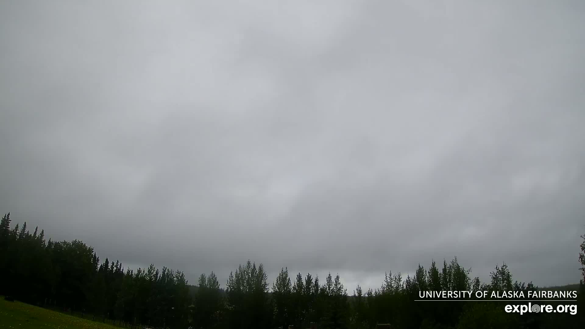 A mostly cloudy sky, with some brighter areas, hangs over a dark line of trees.