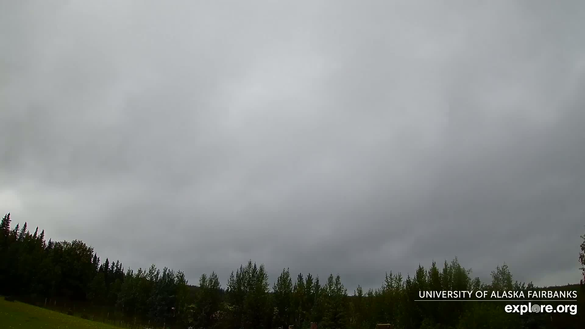 A mostly cloudy sky, with some brighter areas, hangs over a dark line of trees.