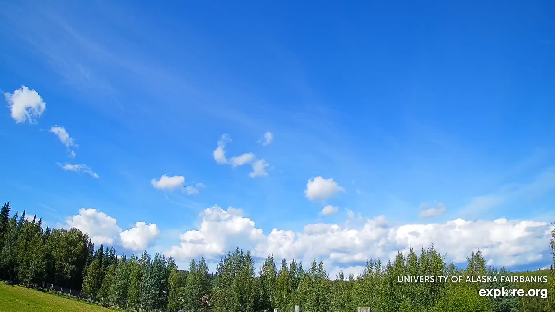 University of Alaska, Fairbanks North Star Northern Lights / Aurora Borealis / Stars View Live Cam - Faibanks, Fairbanks North Star, Alaska, USA