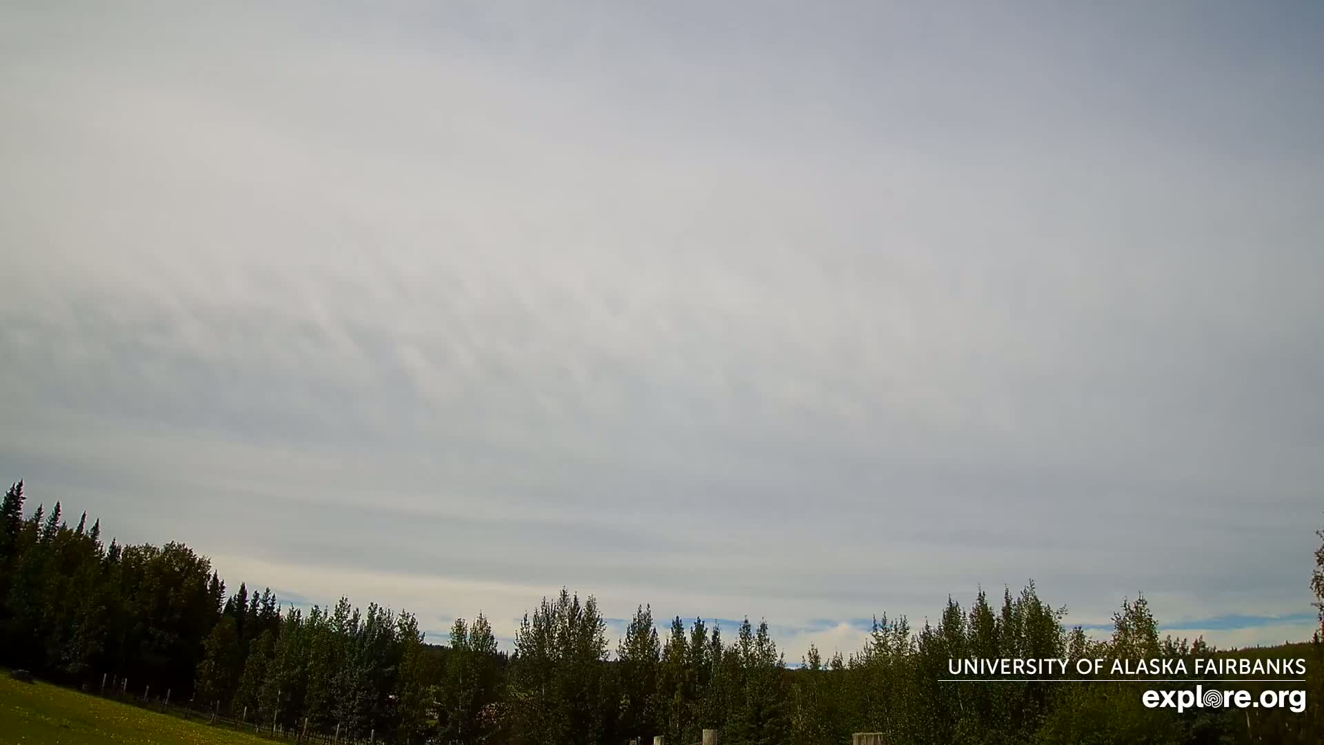 University of Alaska, Fairbanks North Star Northern Lights / Aurora Borealis / Stars View Live Cam - Faibanks, Fairbanks North Star, Alaska, USA