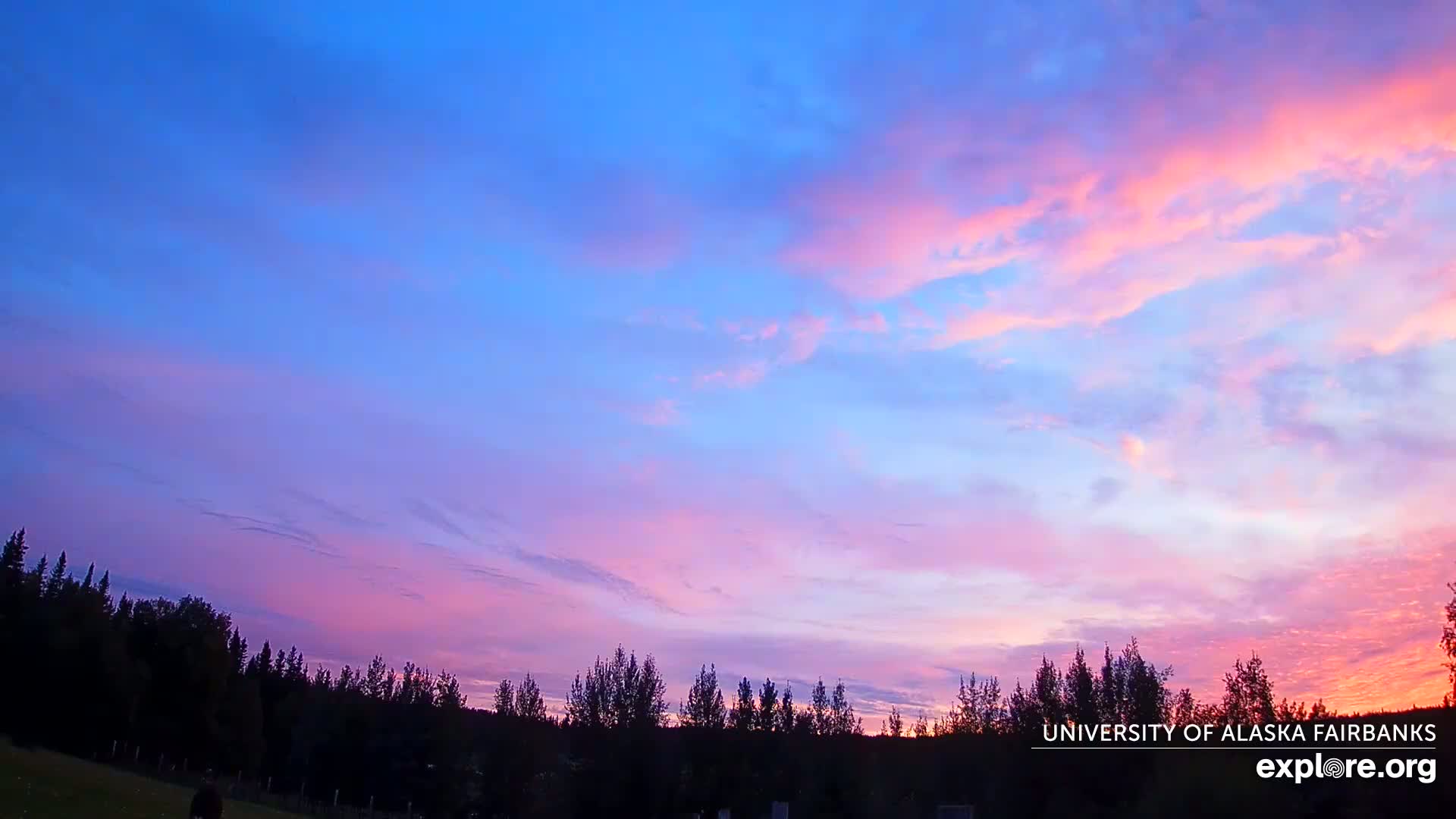 University of Alaska, Fairbanks North Star Northern Lights / Aurora Borealis / Stars View Live Cam - Faibanks, Fairbanks North Star, Alaska, USA