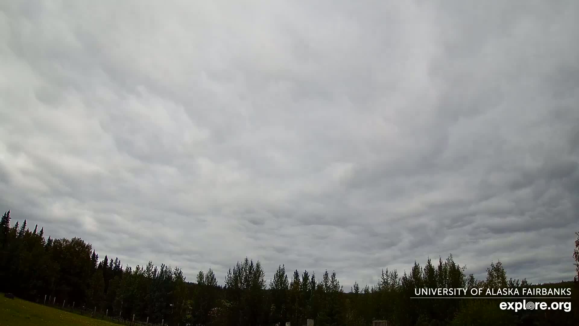 University of Alaska, Fairbanks North Star Northern Lights / Aurora Borealis / Stars View Live Cam - Faibanks, Fairbanks North Star, Alaska, USA