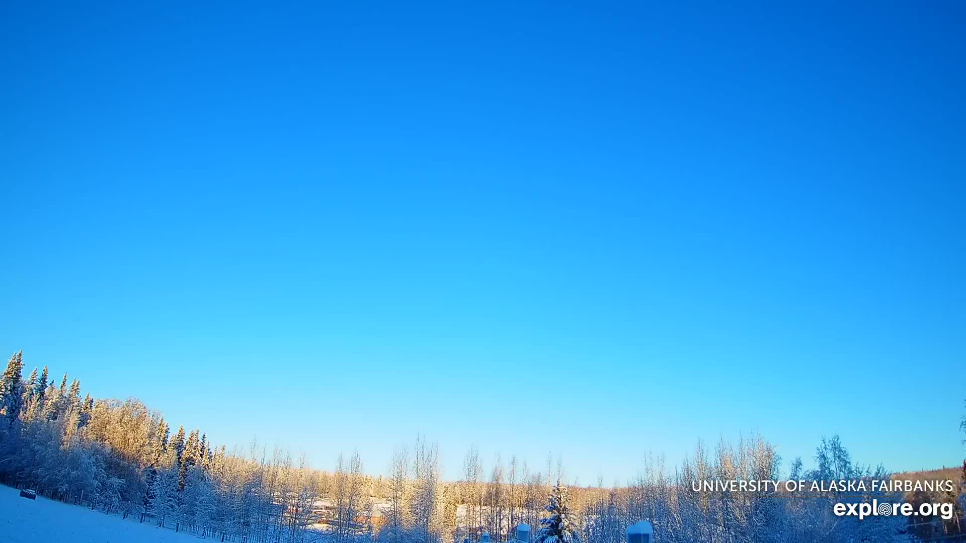 University of Alaska, Fairbanks North Star Northern Lights / Aurora Borealis / Stars View Live Cam - Faibanks, Fairbanks North Star, Alaska, USA