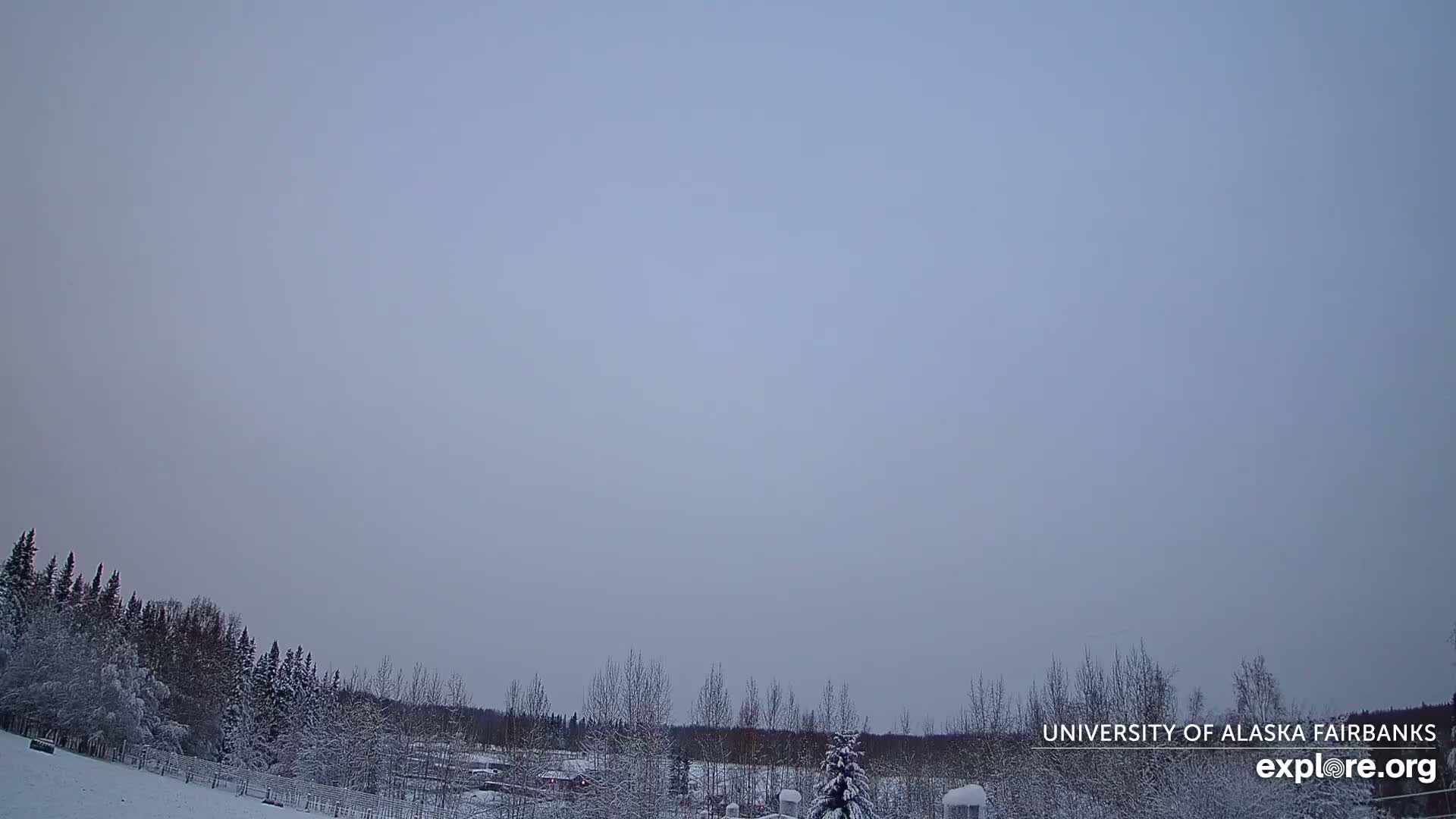 University of Alaska, Fairbanks North Star Northern Lights / Aurora Borealis / Stars View Live Cam - Faibanks, Fairbanks North Star, Alaska, USA