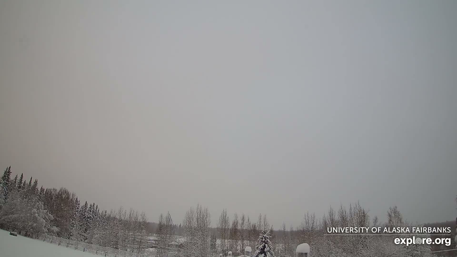 University of Alaska, Fairbanks North Star Northern Lights / Aurora Borealis / Stars View Live Cam - Faibanks, Fairbanks North Star, Alaska, USA