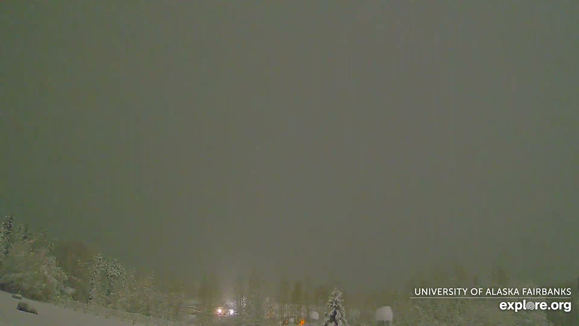 A snowy landscape at night is visible through heavy snowfall or fog, featuring snow-covered trees and a few distant lights under a dim, overcast sky.