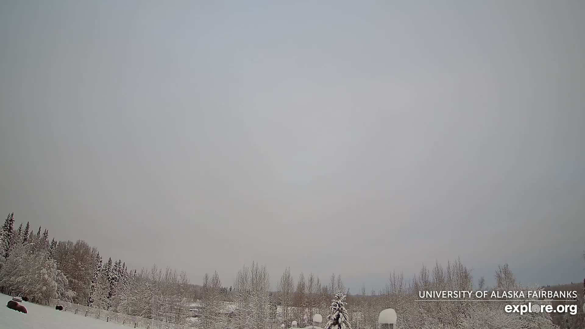 University of Alaska, Fairbanks North Star Northern Lights / Aurora Borealis / Stars View Live Cam - Faibanks, Fairbanks North Star, Alaska, USA