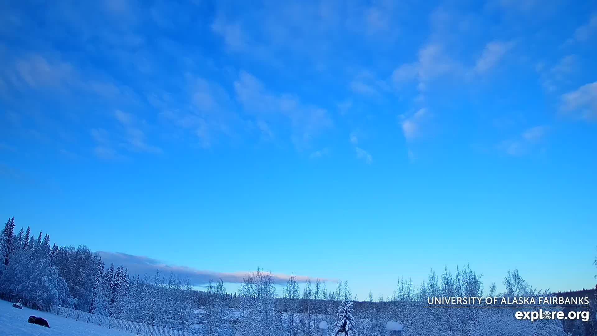University of Alaska, Fairbanks North Star Northern Lights / Aurora Borealis / Stars View Live Cam - Faibanks, Fairbanks North Star, Alaska, USA