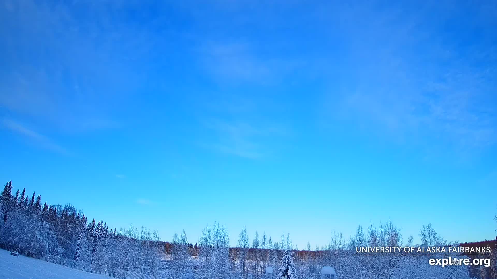 A vast, bright blue sky with faint wispy clouds stretches above a snow-covered winter landscape featuring an array of frosted trees and a gentle snowy slope, indicating clear and cold weather.