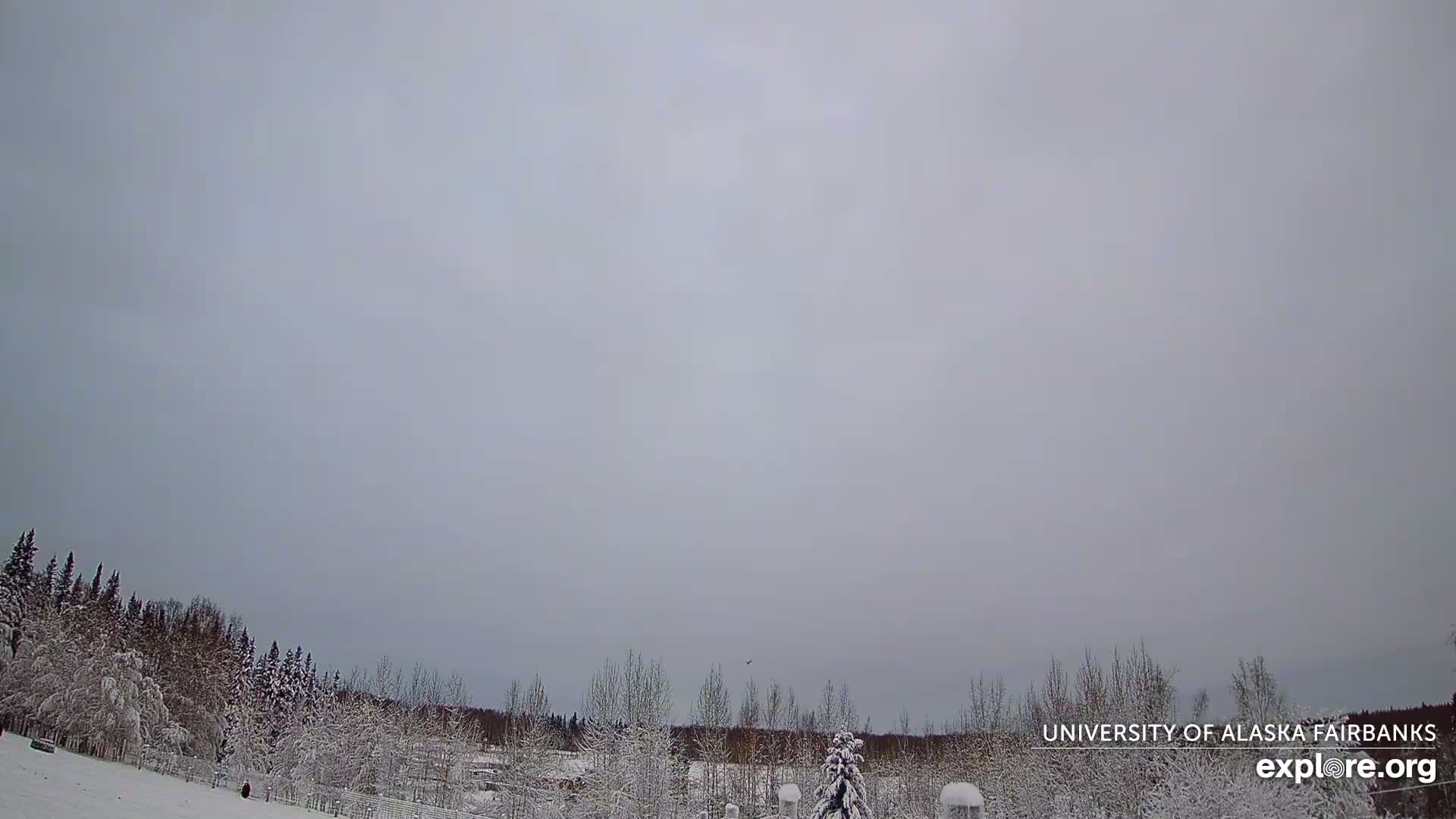 University of Alaska, Fairbanks North Star Northern Lights / Aurora Borealis / Stars View Live Cam - Faibanks, Fairbanks North Star, Alaska, USA