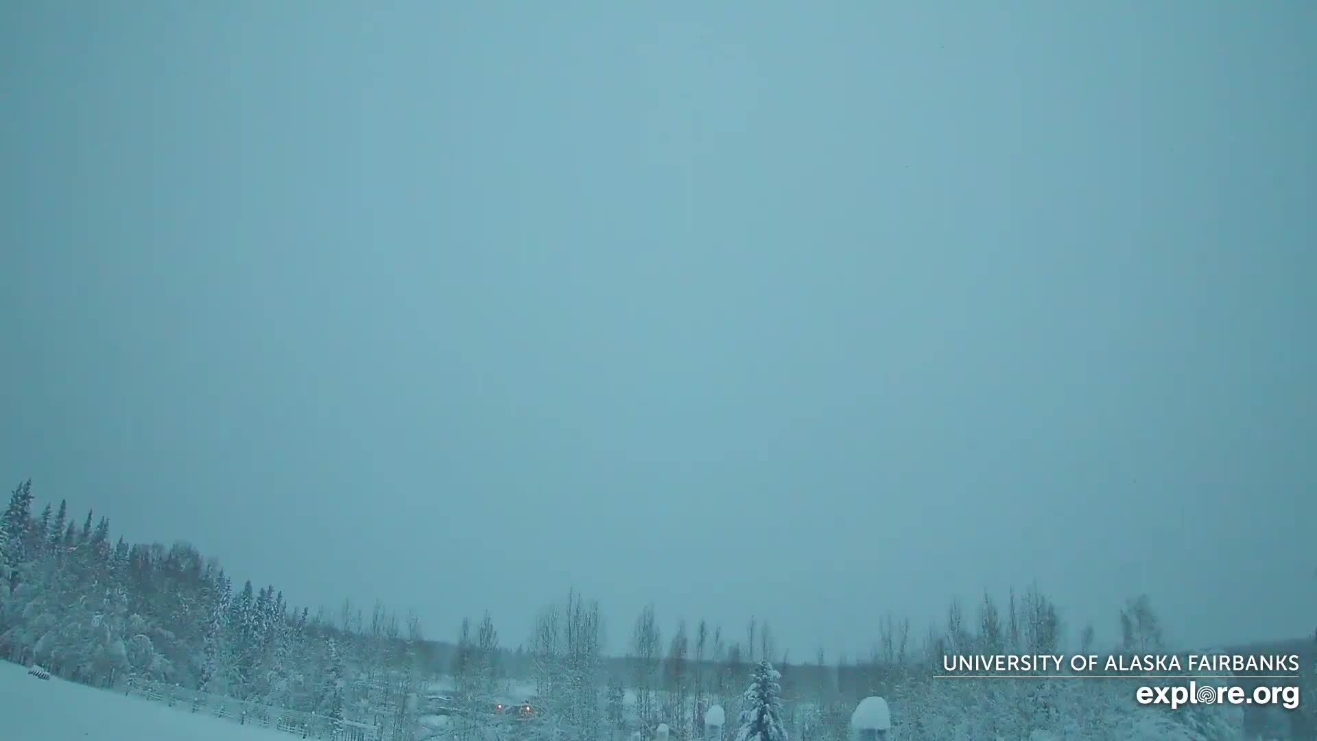 University of Alaska, Fairbanks North Star Northern Lights / Aurora Borealis / Stars View Live Cam - Faibanks, Fairbanks North Star, Alaska, USA