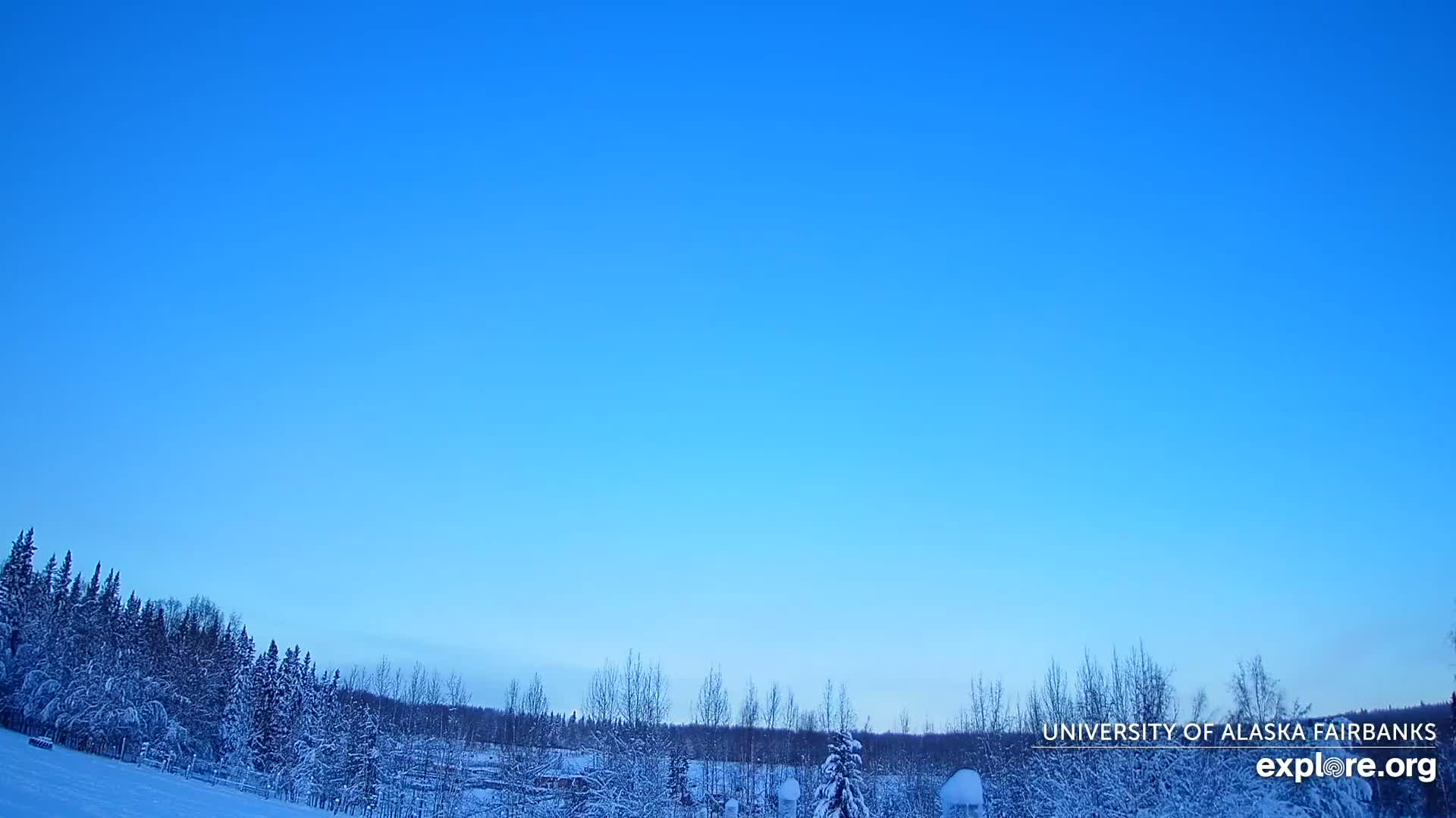 University of Alaska, Fairbanks North Star Northern Lights / Aurora Borealis / Stars View Live Cam - Faibanks, Fairbanks North Star, Alaska, USA