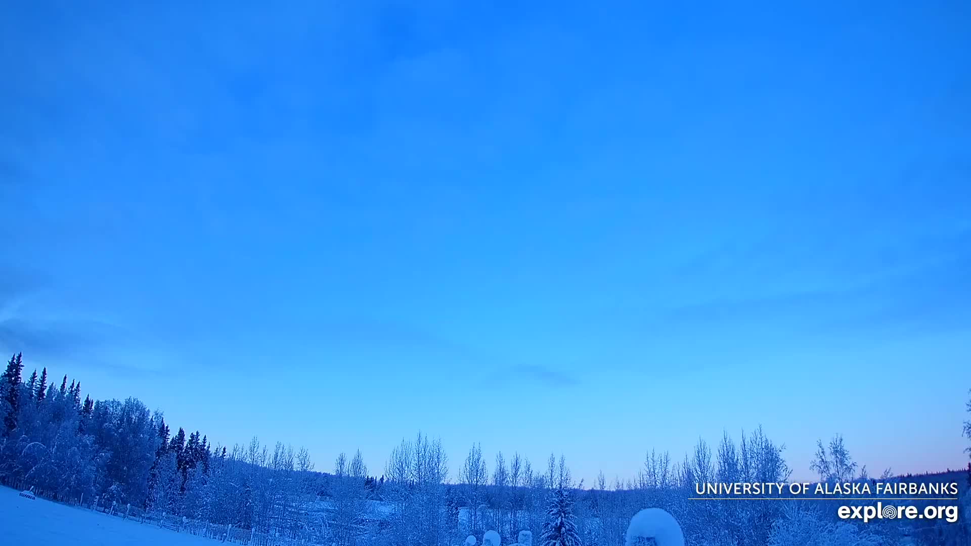 University of Alaska, Fairbanks North Star Northern Lights / Aurora Borealis / Stars View Live Cam - Faibanks, Fairbanks North Star, Alaska, USA