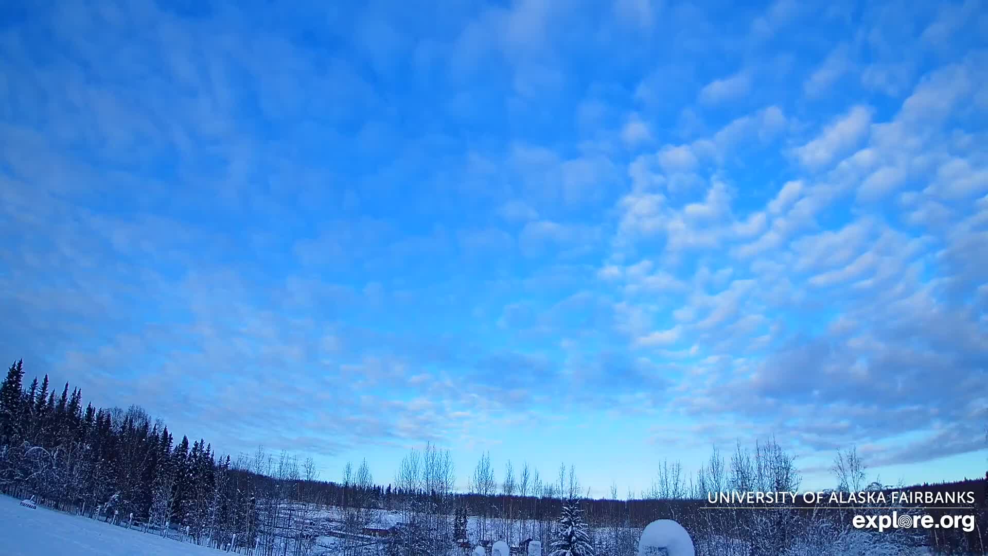 University of Alaska, Fairbanks North Star Northern Lights / Aurora Borealis / Stars View Live Cam - Faibanks, Fairbanks North Star, Alaska, USA