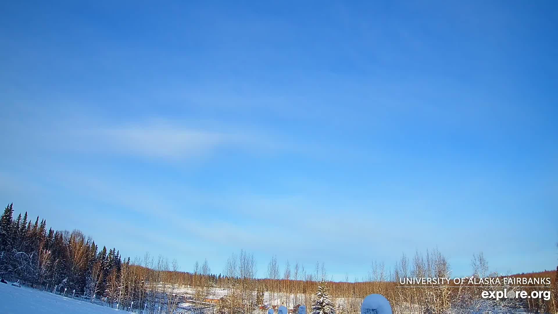 University of Alaska, Fairbanks North Star Northern Lights / Aurora Borealis / Stars View Live Cam - Faibanks, Fairbanks North Star, Alaska, USA
