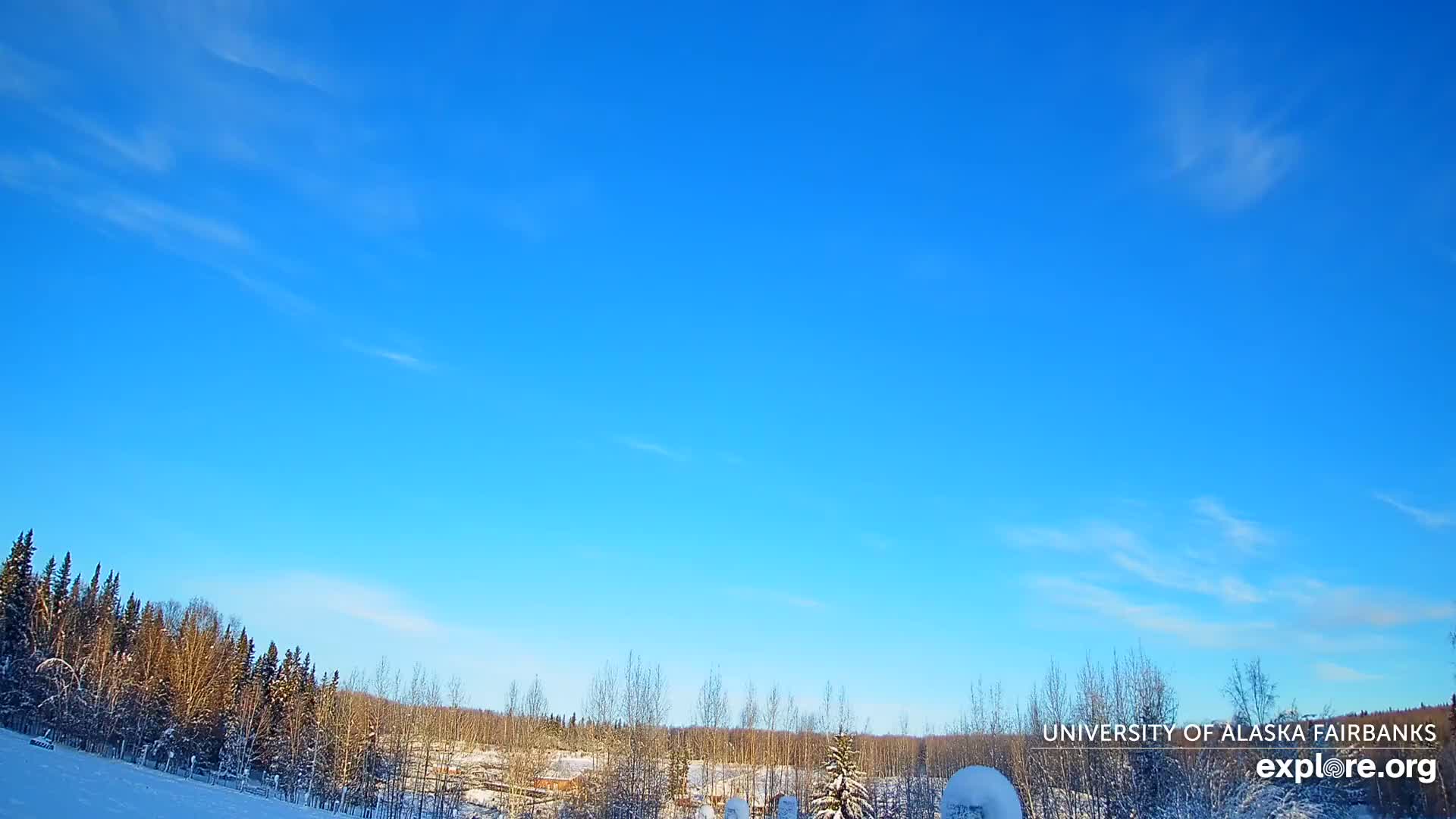 University of Alaska, Fairbanks North Star Northern Lights / Aurora Borealis / Stars View Live Cam - Faibanks, Fairbanks North Star, Alaska, USA