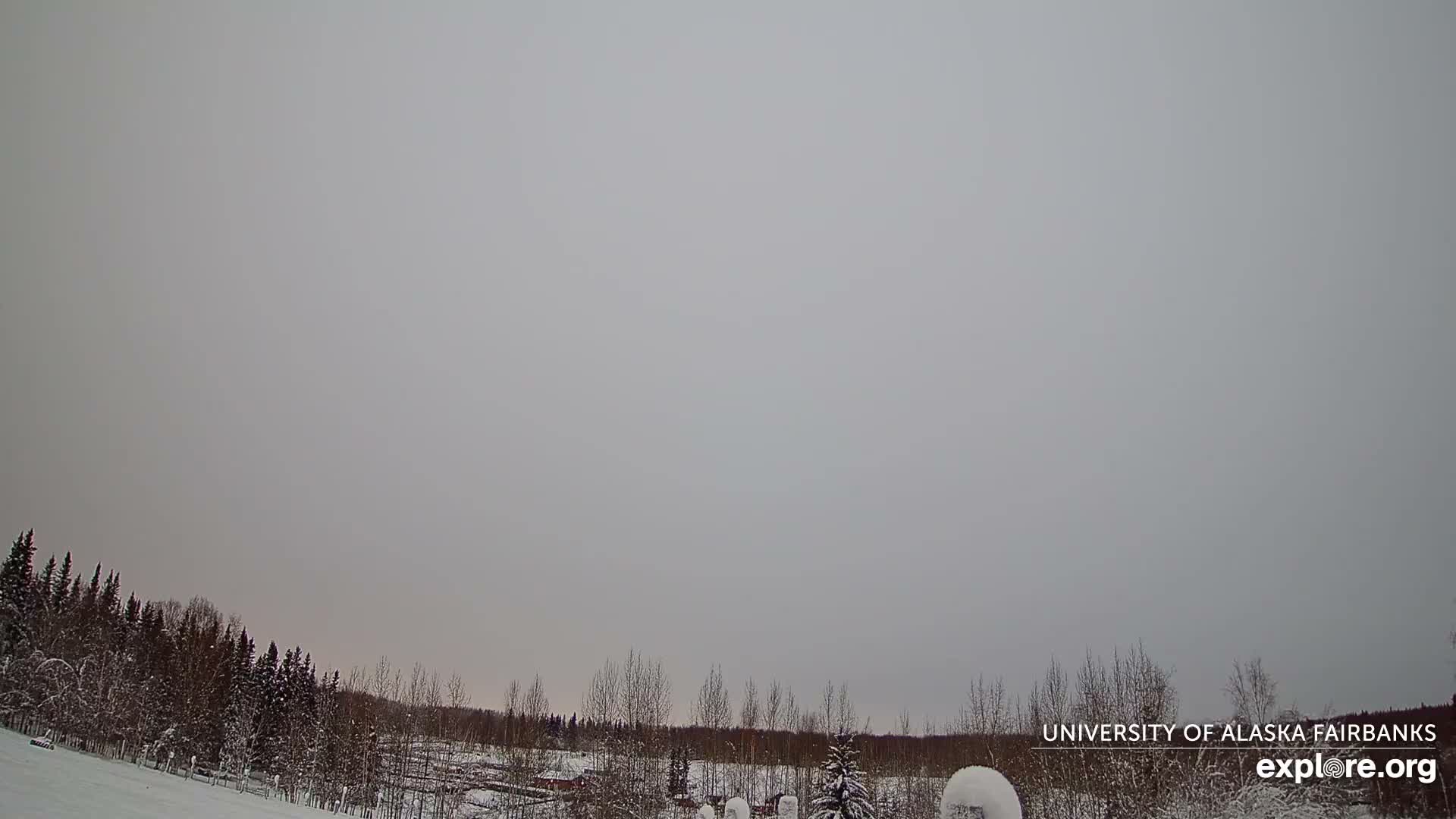 University of Alaska, Fairbanks North Star Northern Lights / Aurora Borealis / Stars View Live Cam - Faibanks, Fairbanks North Star, Alaska, USA