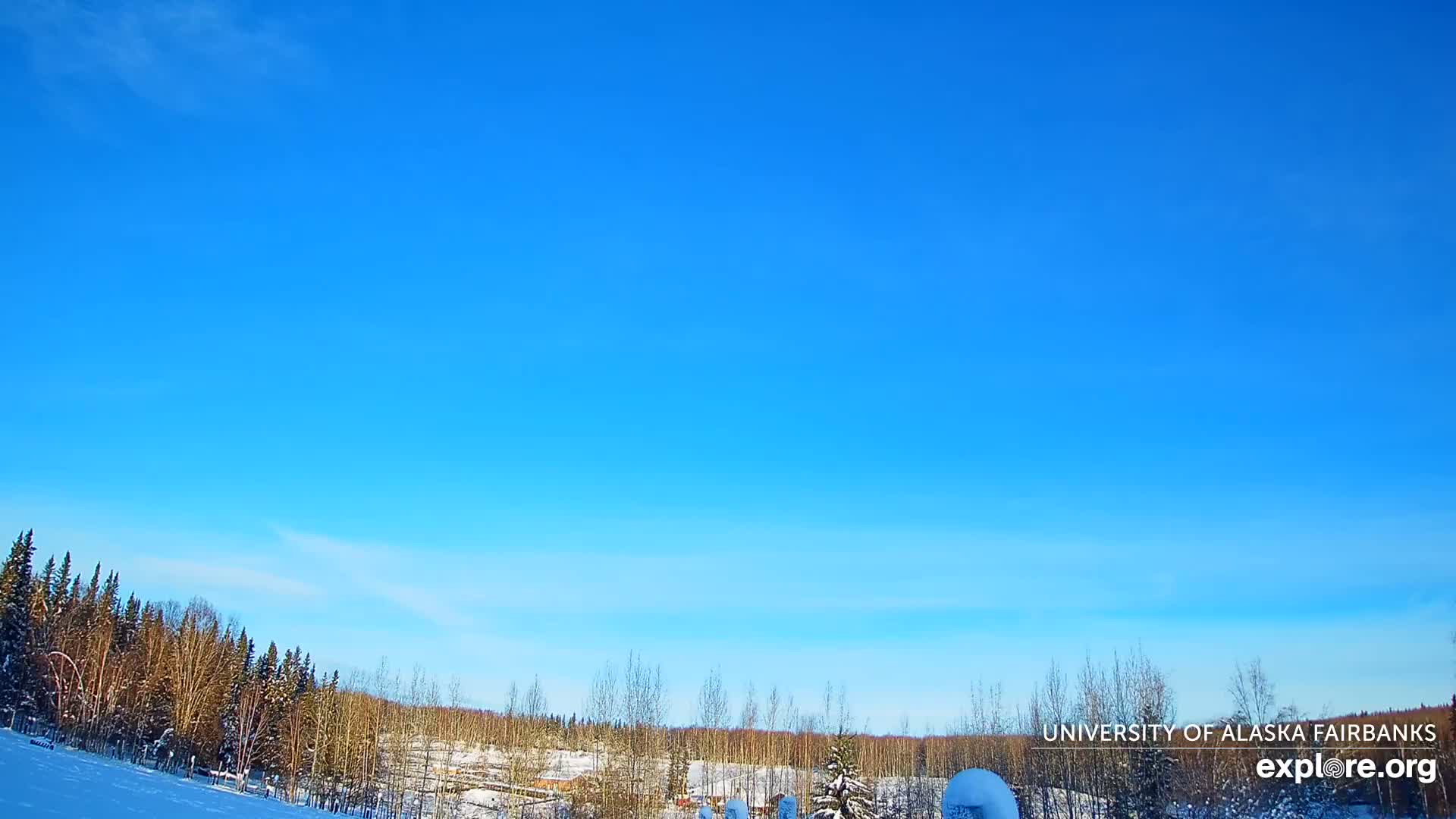 University of Alaska, Fairbanks North Star Northern Lights / Aurora Borealis / Stars View Live Cam - Faibanks, Fairbanks North Star, Alaska, USA