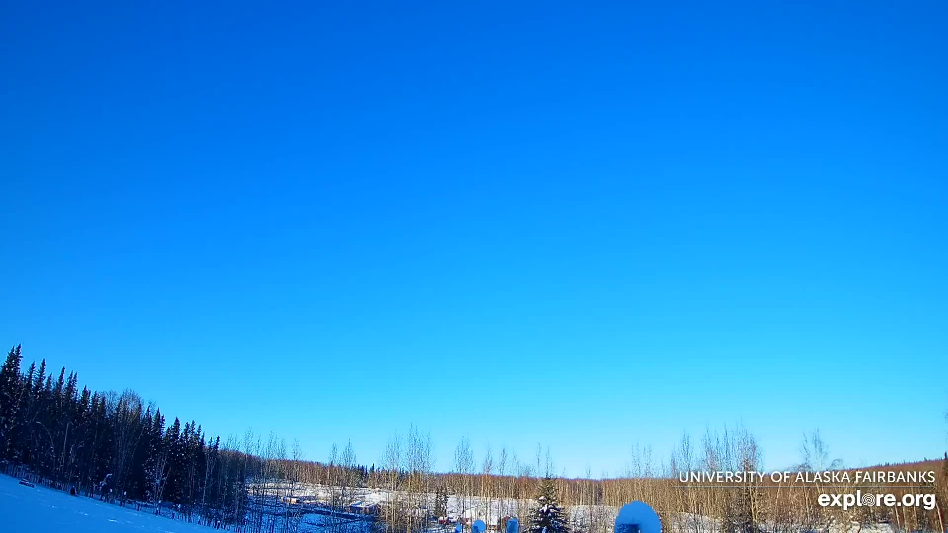 University of Alaska, Fairbanks North Star Northern Lights / Aurora Borealis / Stars View Live Cam - Faibanks, Fairbanks North Star, Alaska, USA