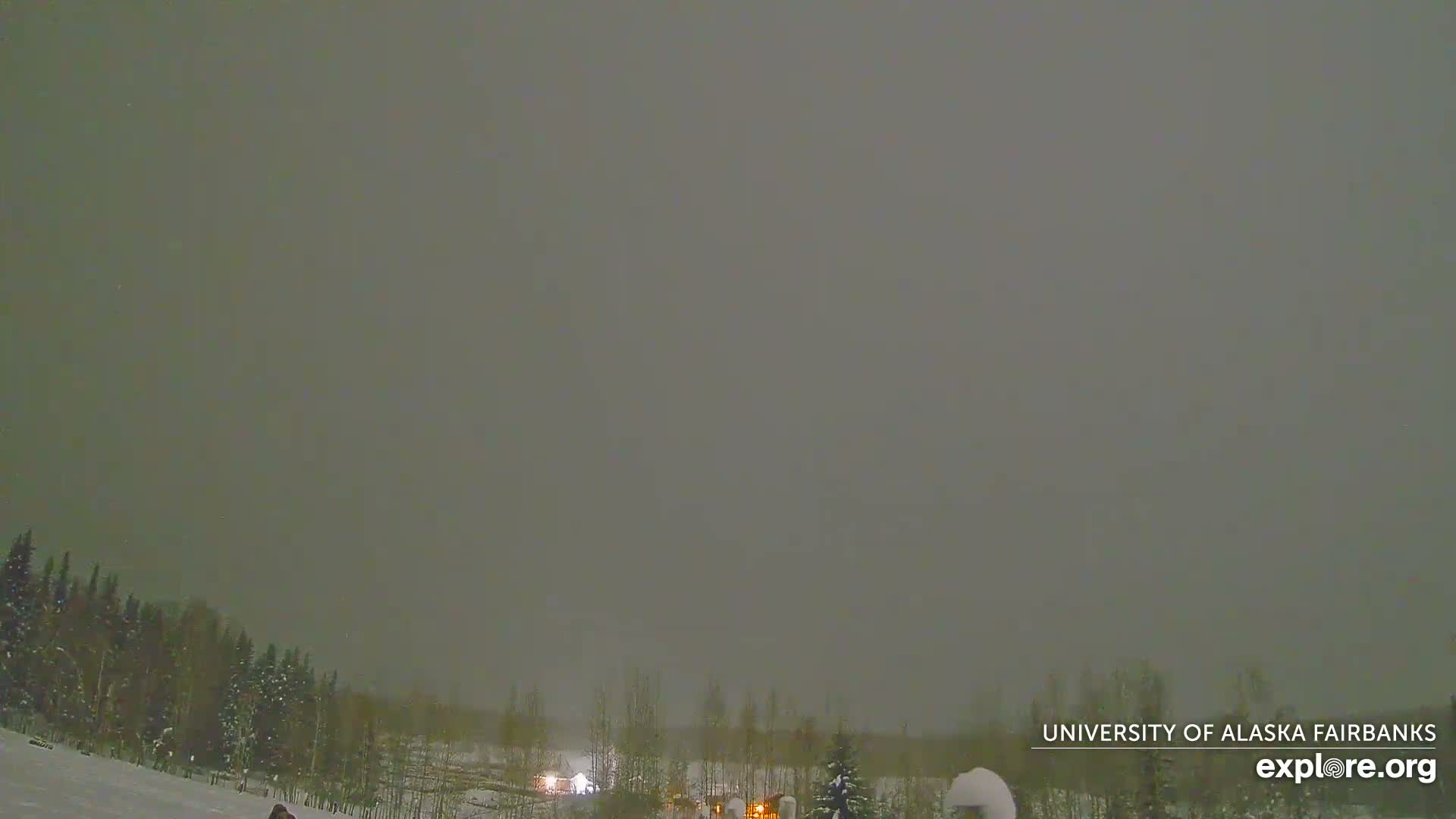 University of Alaska, Fairbanks North Star Northern Lights / Aurora Borealis / Stars View Live Cam - Faibanks, Fairbanks North Star, Alaska, USA