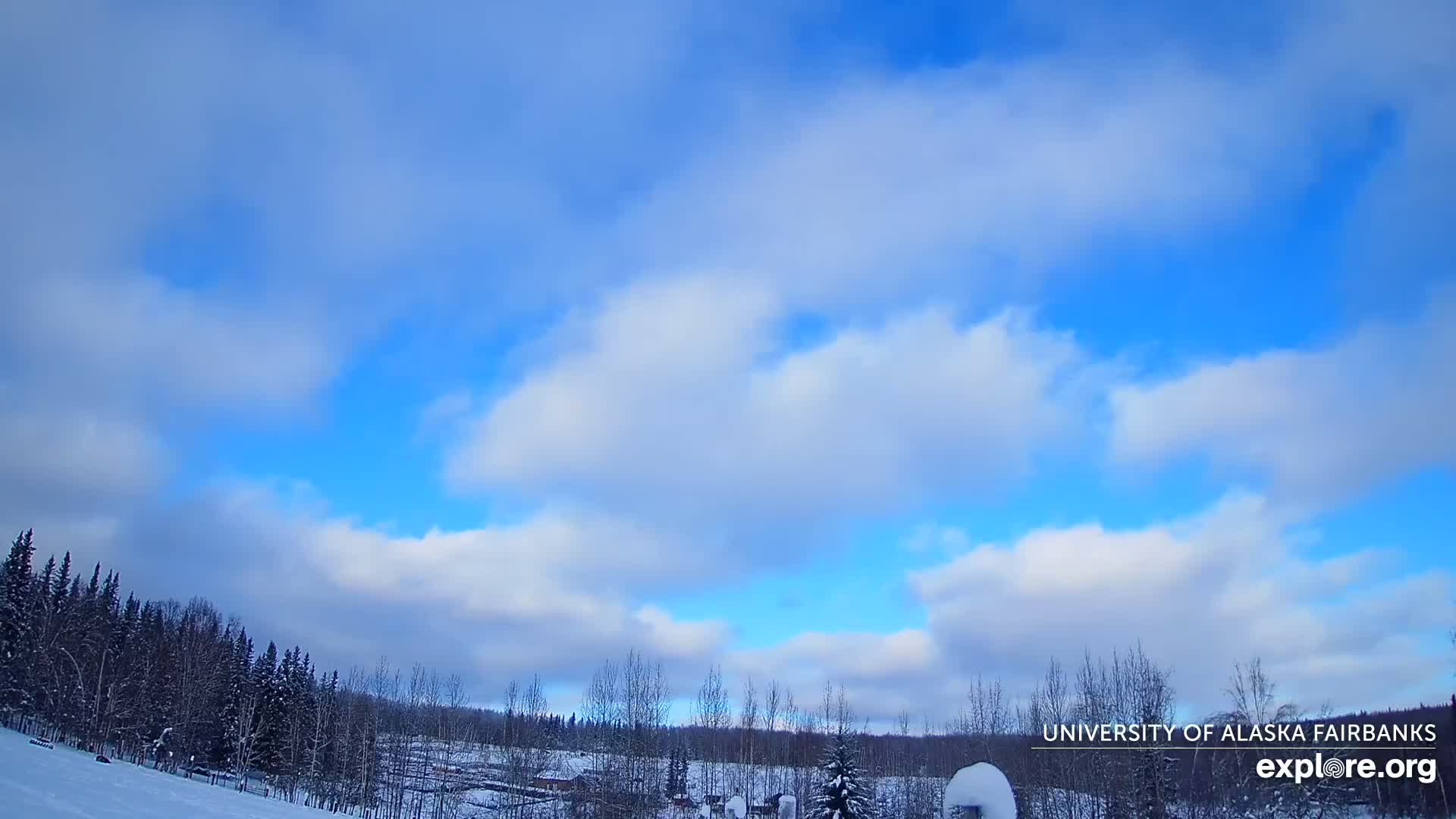 University of Alaska, Fairbanks North Star Northern Lights / Aurora Borealis / Stars View Live Cam - Faibanks, Fairbanks North Star, Alaska, USA