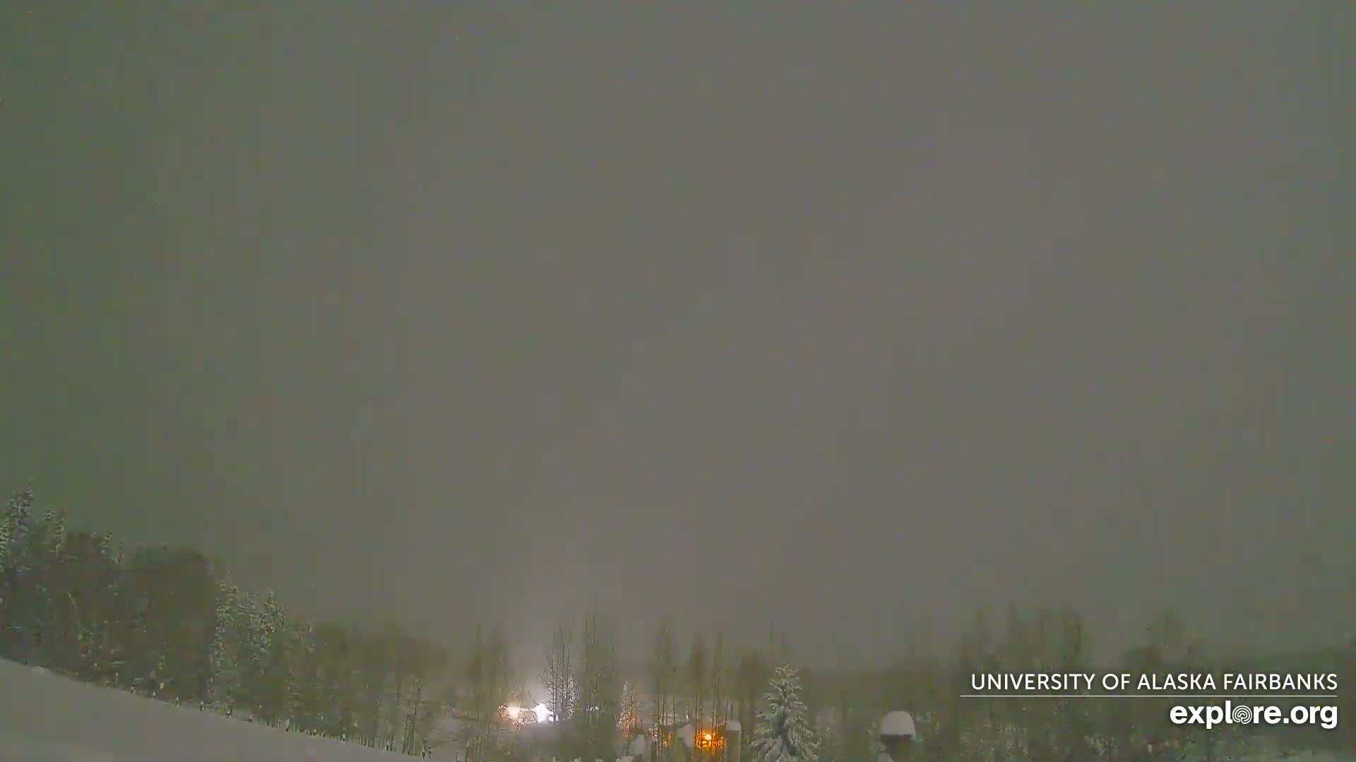 University of Alaska, Fairbanks North Star Northern Lights / Aurora Borealis / Stars View Live Cam - Faibanks, Fairbanks North Star, Alaska, USA