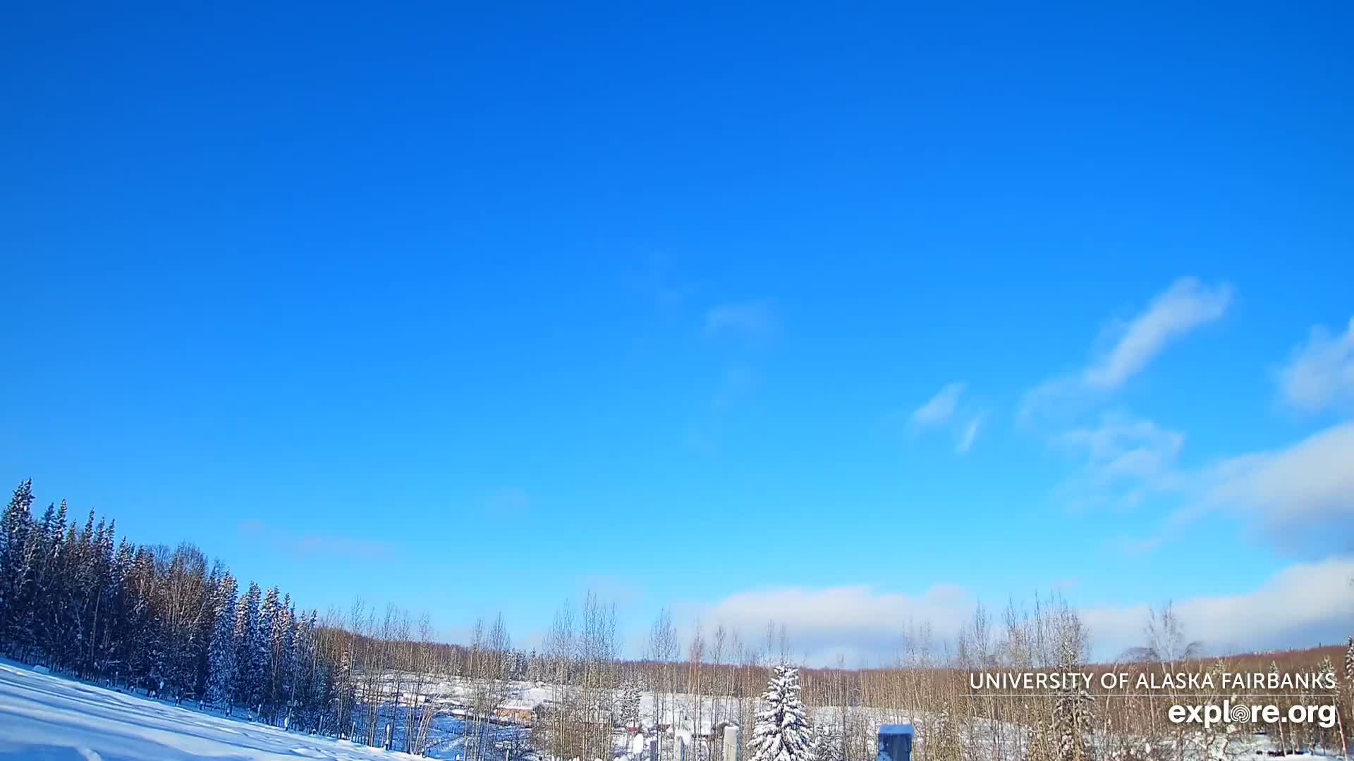 University of Alaska, Fairbanks North Star Northern Lights / Aurora Borealis / Stars View Live Cam - Faibanks, Fairbanks North Star, Alaska, USA