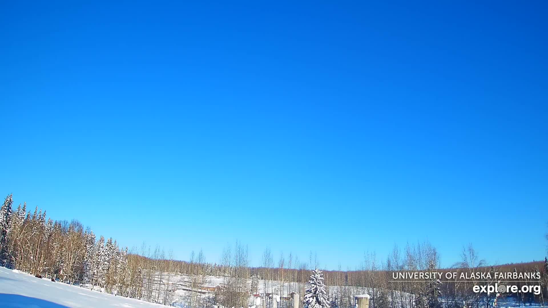 University of Alaska, Fairbanks North Star Northern Lights / Aurora Borealis / Stars View Live Cam - Faibanks, Fairbanks North Star, Alaska, USA