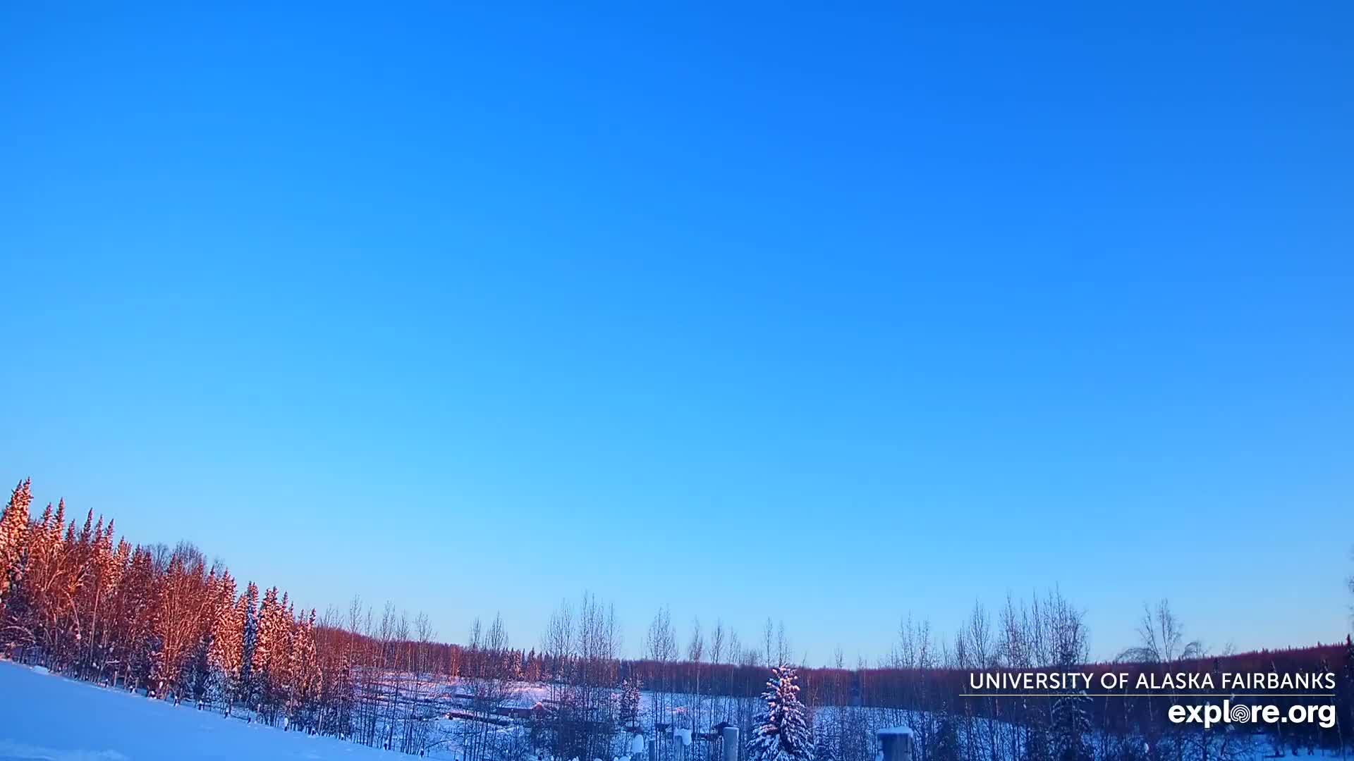 University of Alaska, Fairbanks North Star Northern Lights / Aurora Borealis / Stars View Live Cam - Faibanks, Fairbanks North Star, Alaska, USA