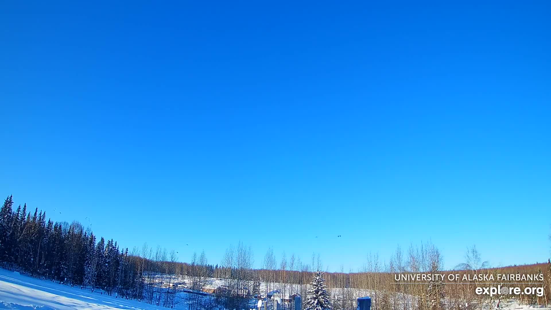 University of Alaska, Fairbanks North Star Northern Lights / Aurora Borealis / Stars View Live Cam - Faibanks, Fairbanks North Star, Alaska, USA