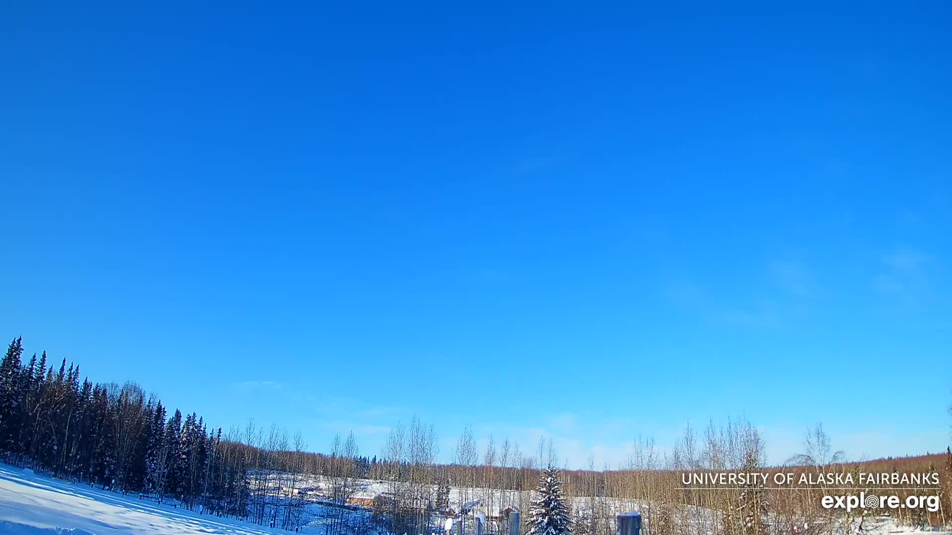 University of Alaska, Fairbanks North Star Northern Lights / Aurora Borealis / Stars View Live Cam - Faibanks, Fairbanks North Star, Alaska, USA